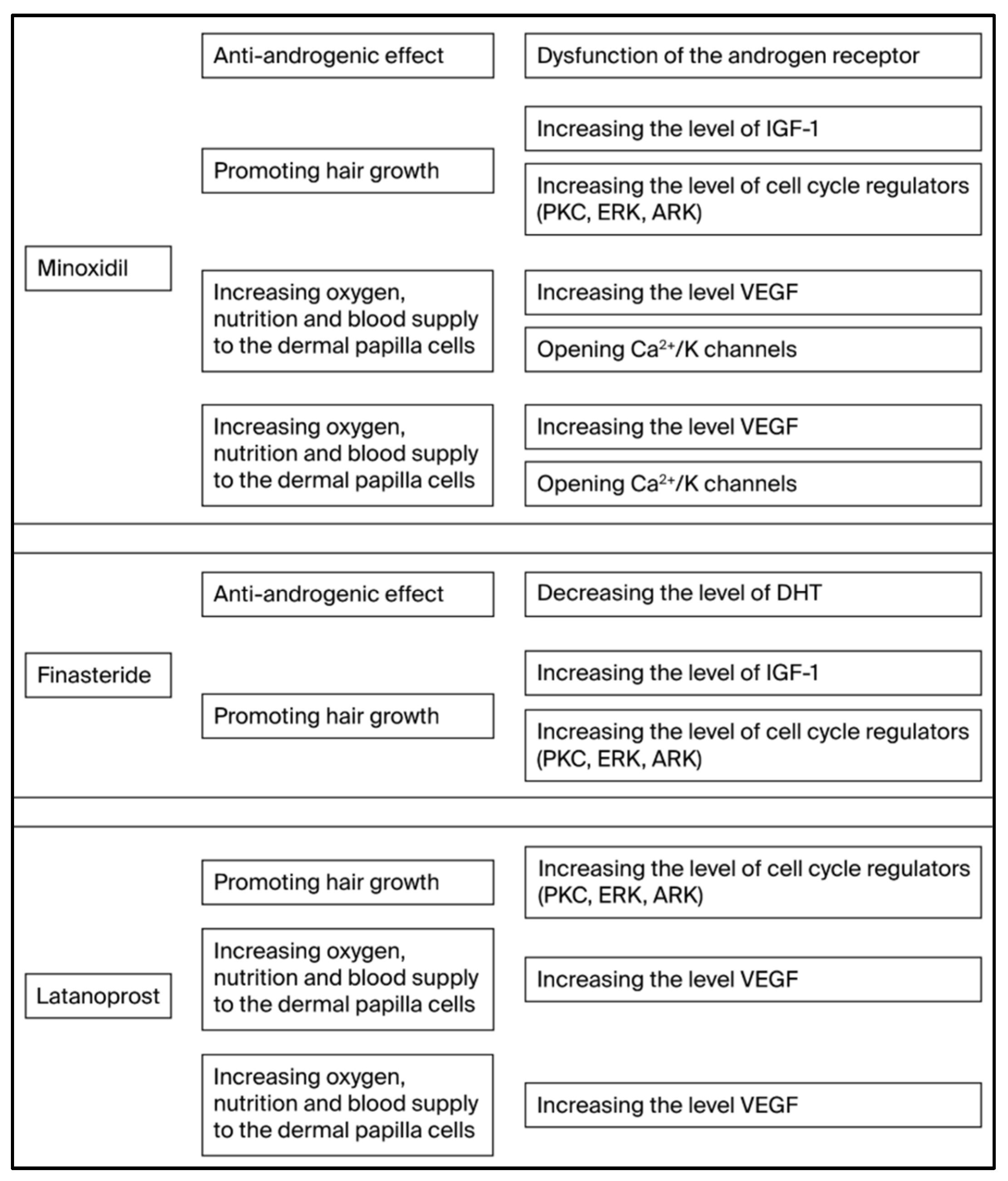 Ijms 26 10712 g002 Ijms 26 10712 g002