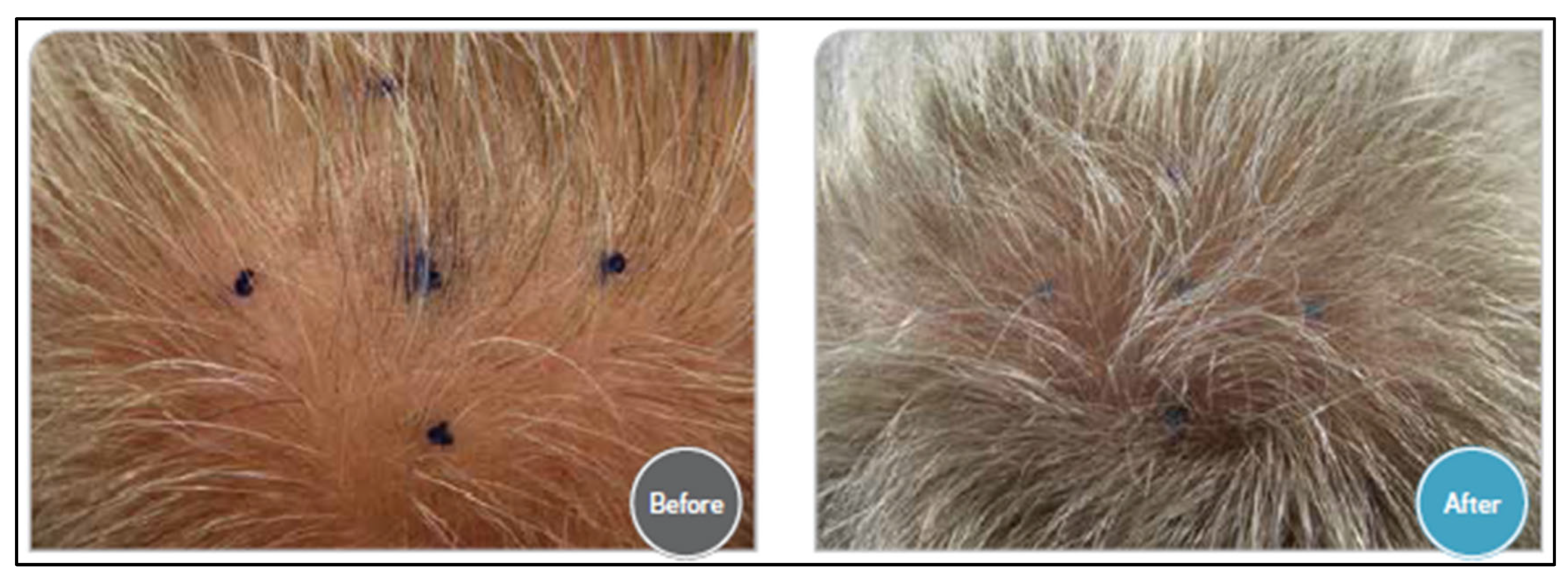 Ijms 26 10712 g003 Ijms 26 10712 g003