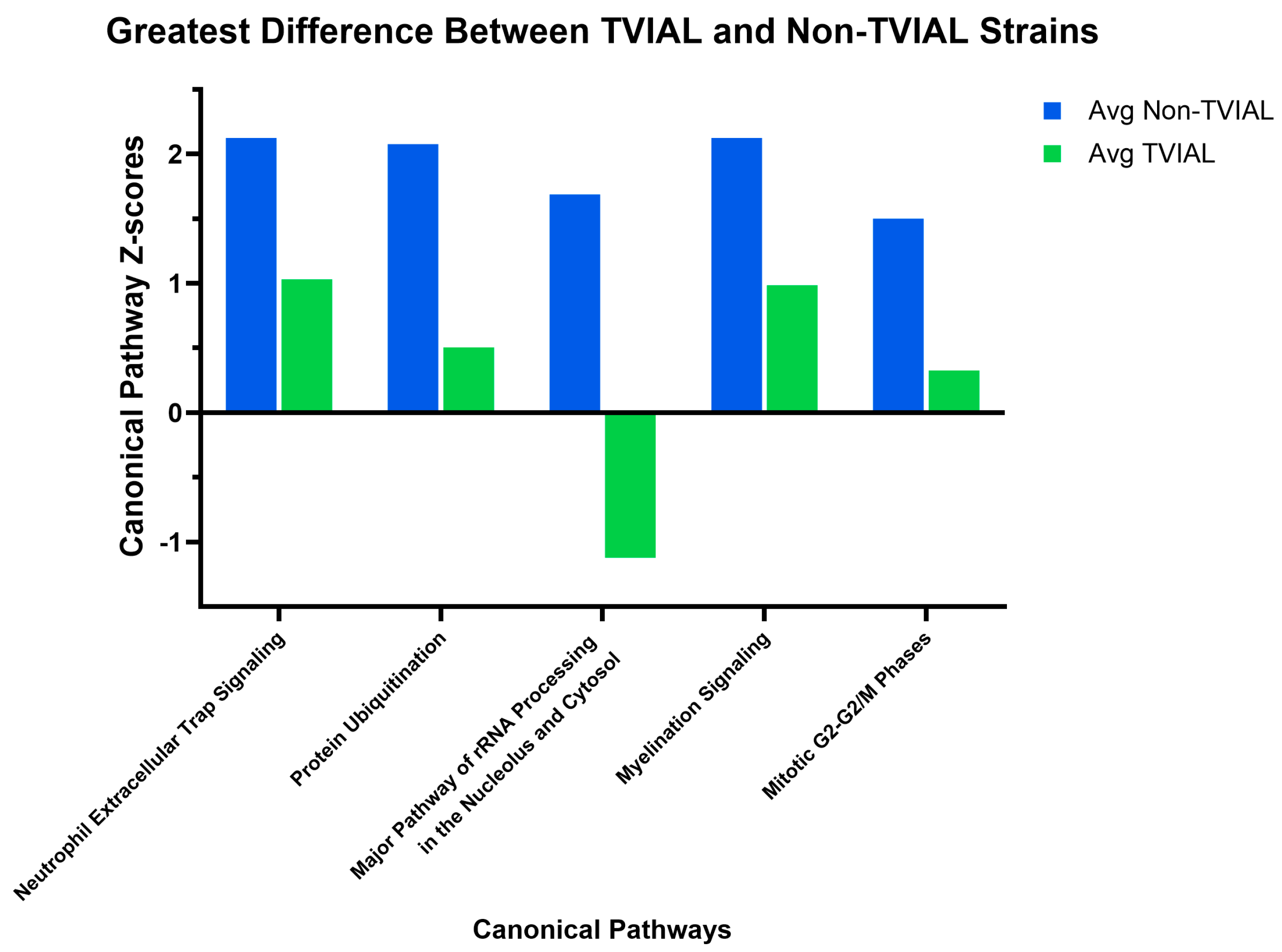 Ijms 26 10727 g004 Ijms 26 10727 g004