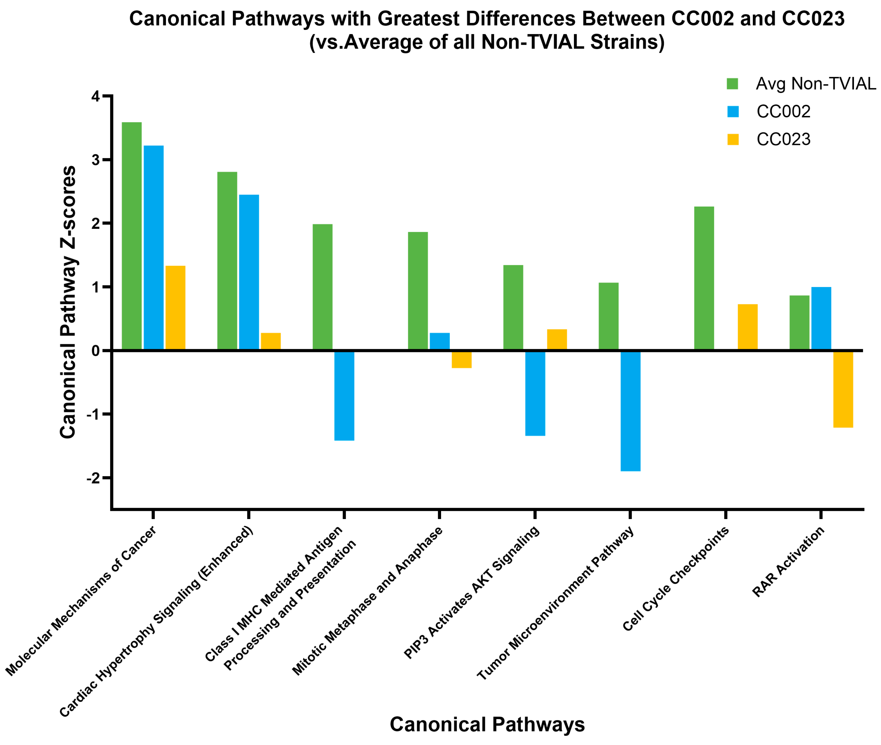 Ijms 26 10727 g005 Ijms 26 10727 g005