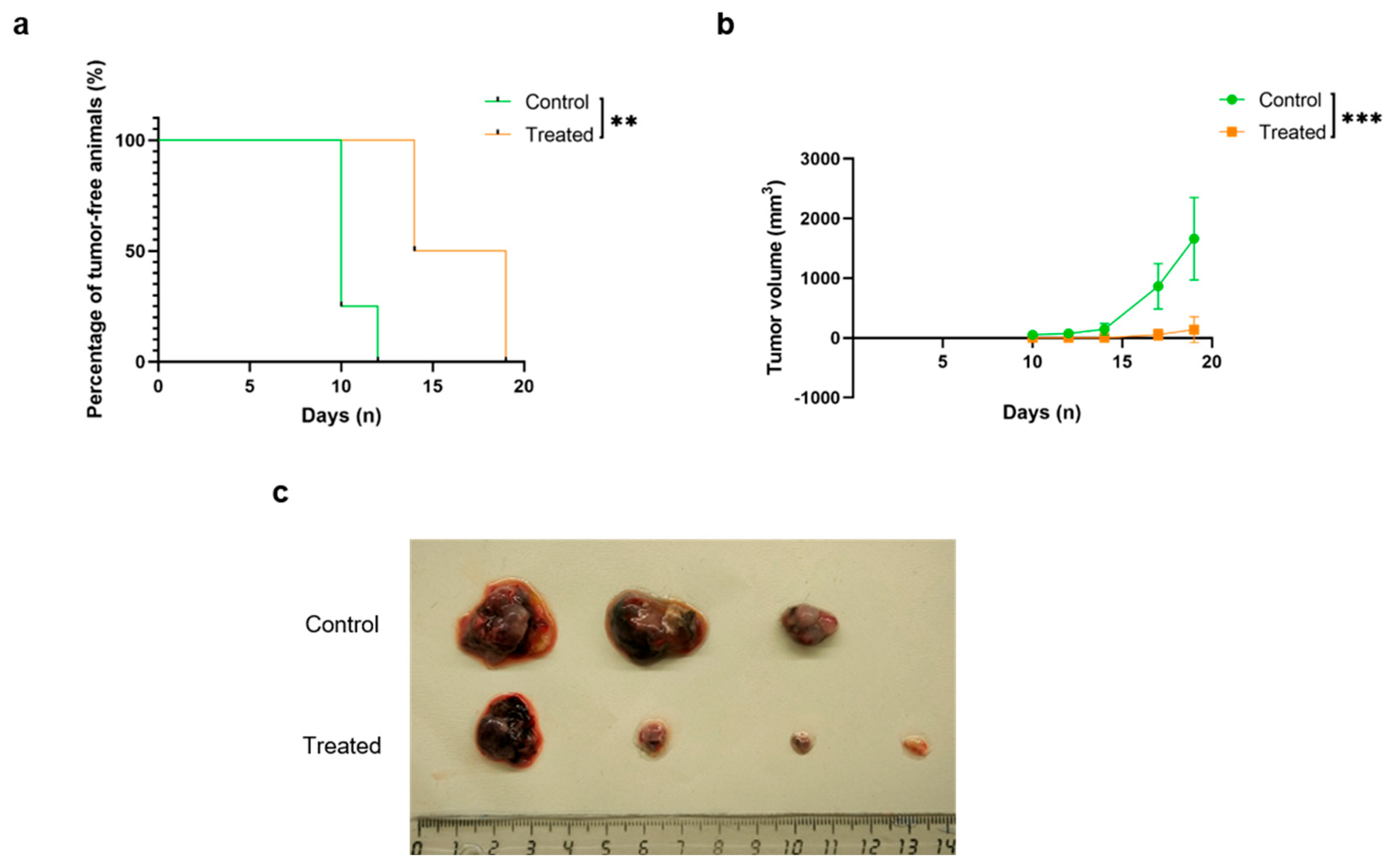 Ijms 26 10745 g003 Ijms 26 10745 g003