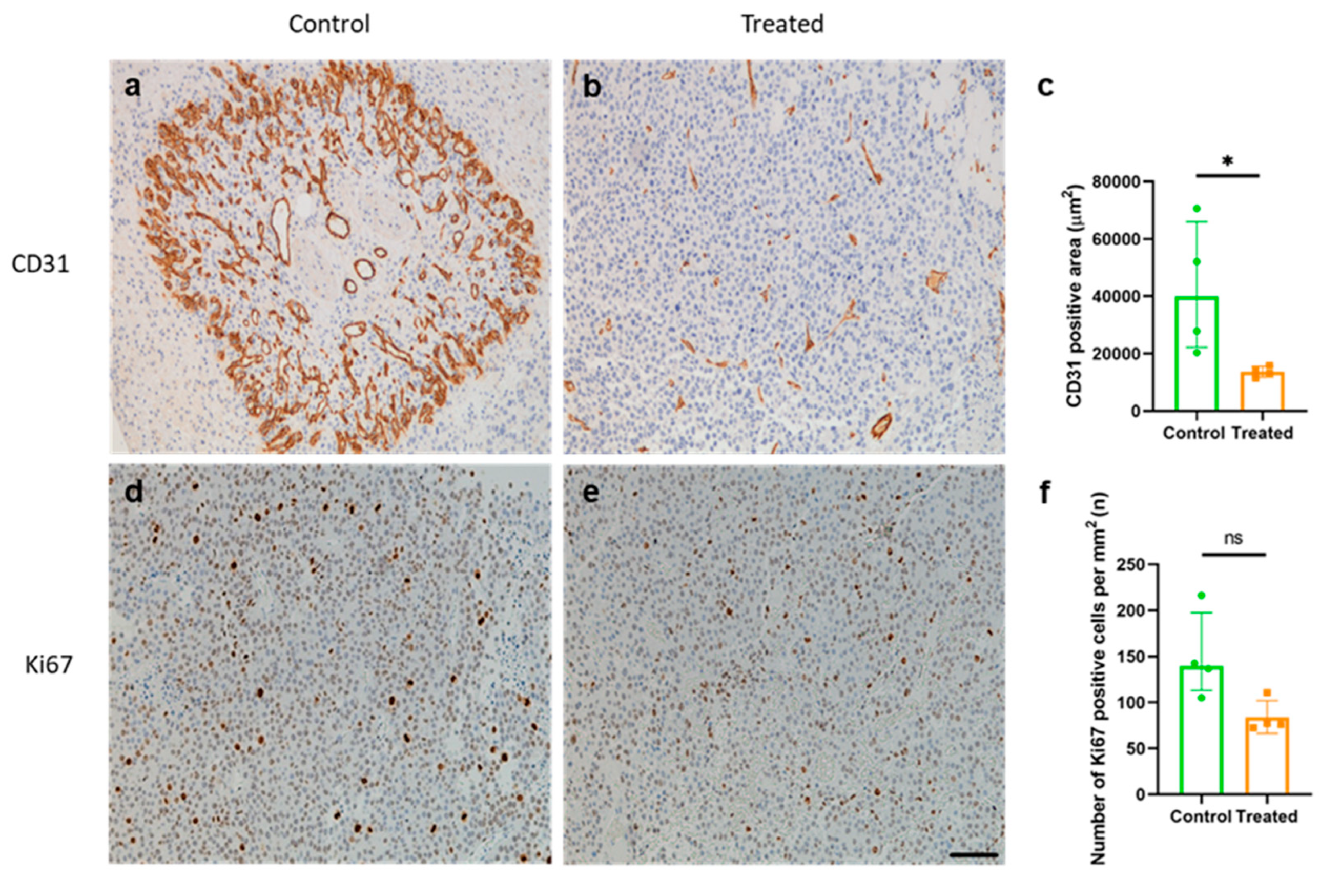 Ijms 26 10745 g004 Ijms 26 10745 g004