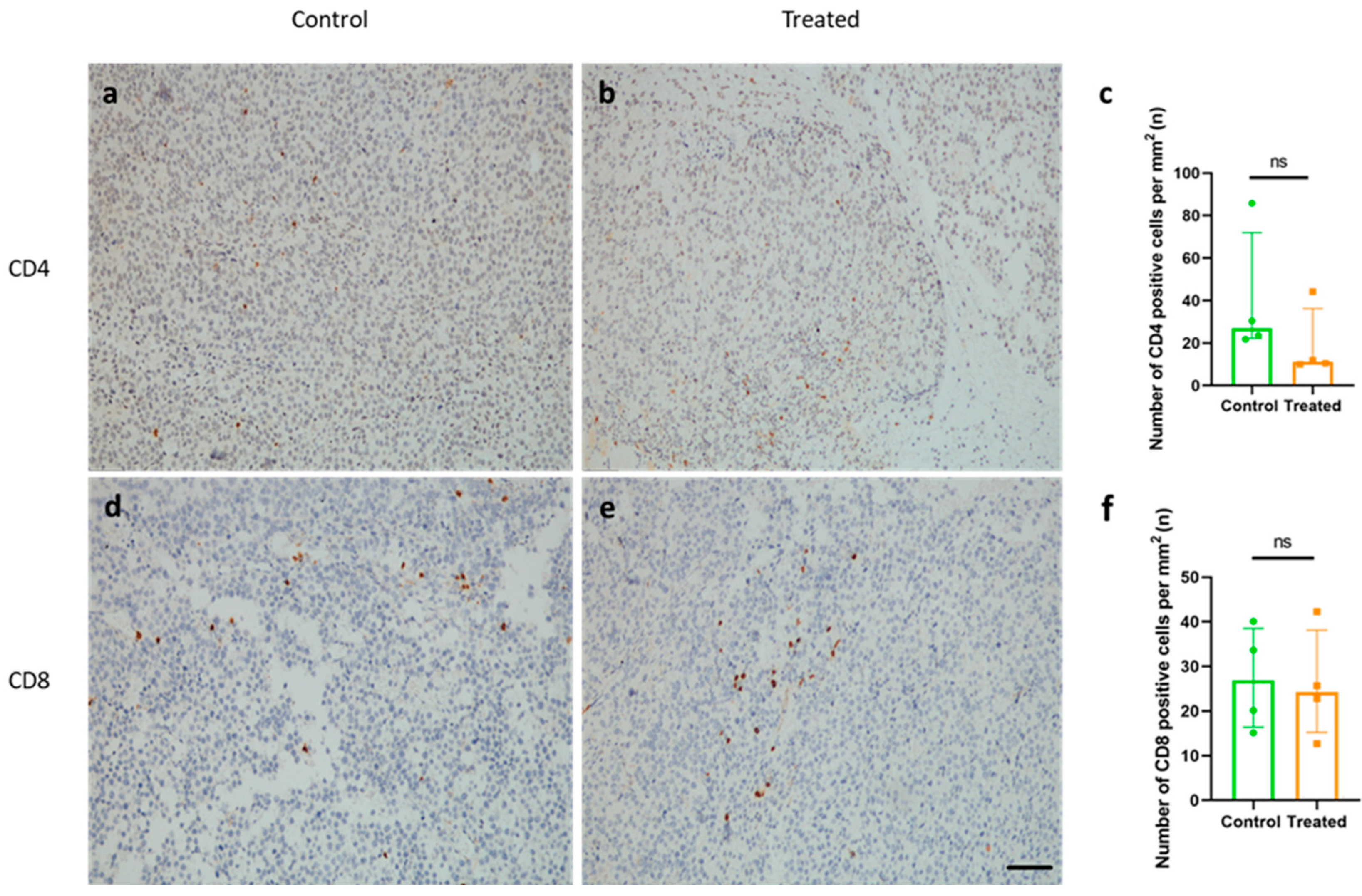 Ijms 26 10745 g006 Ijms 26 10745 g006