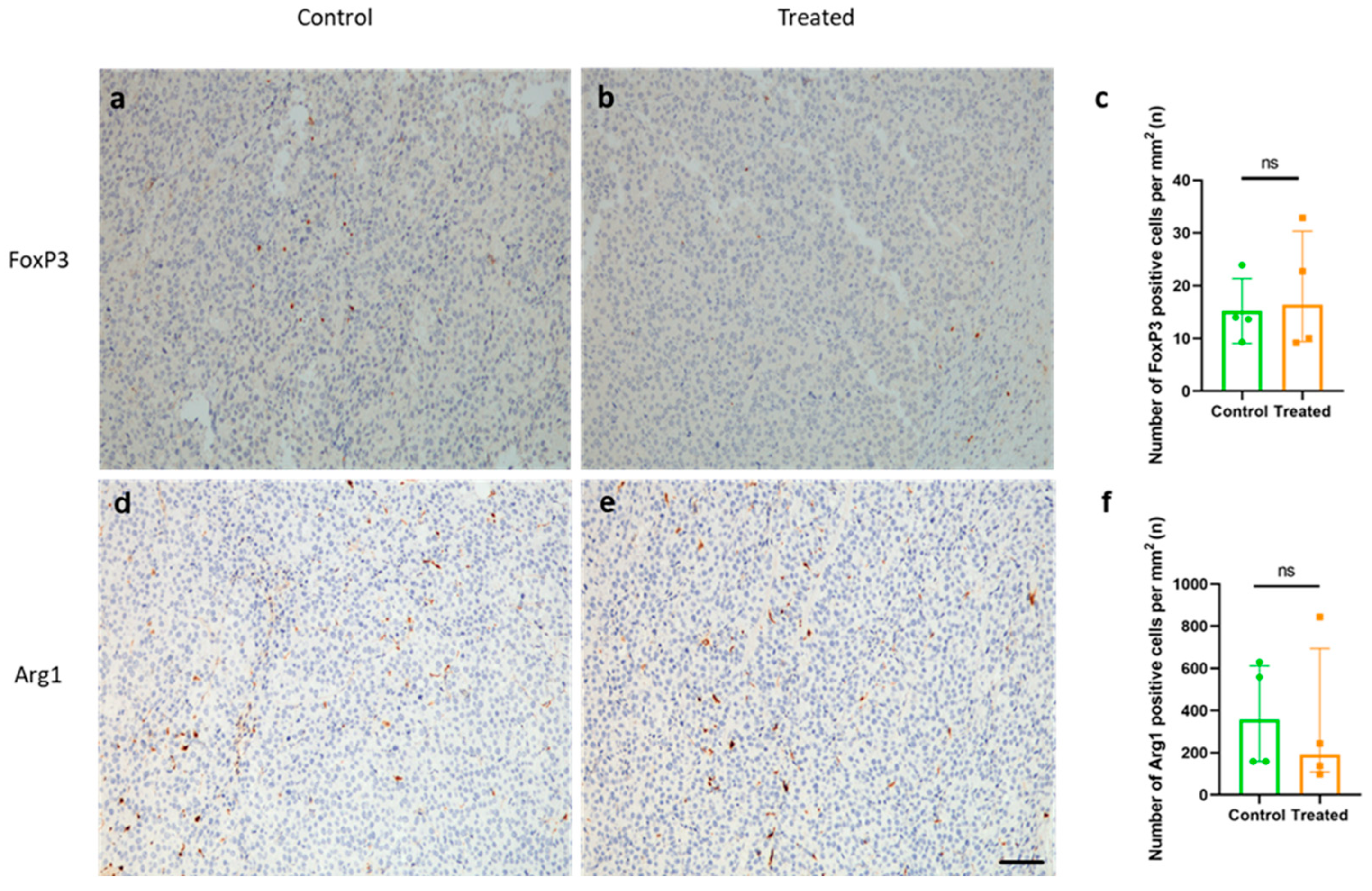 Ijms 26 10745 g007 Ijms 26 10745 g007