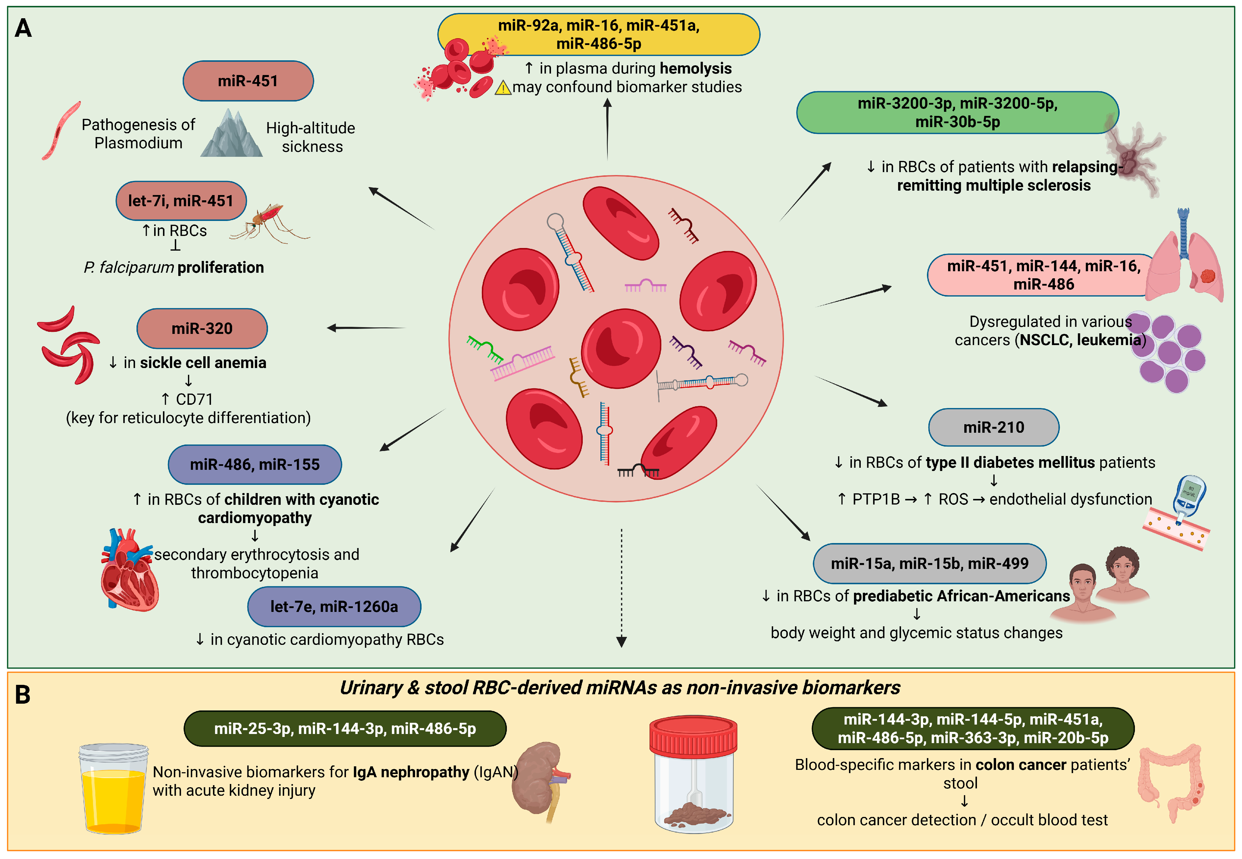 Ijms 26 10774 g003 Ijms 26 10774 g003