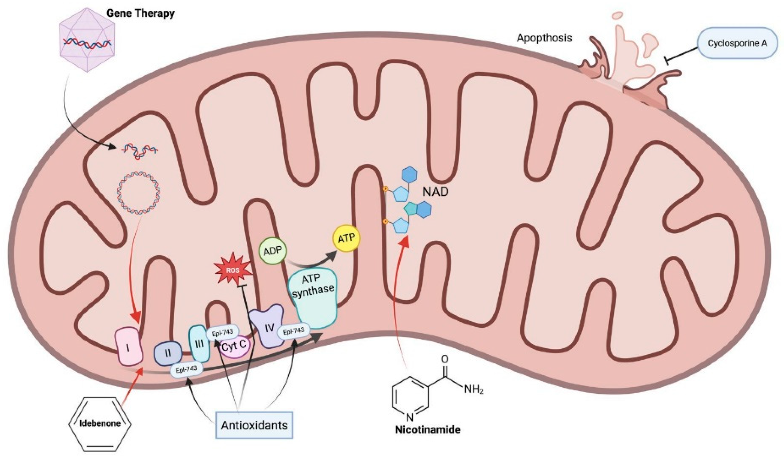 Ijms 26 10784 g002 Ijms 26 10784 g002