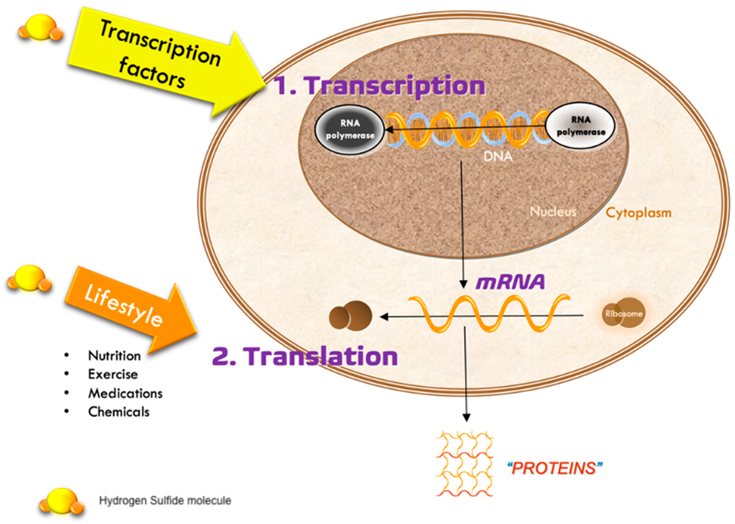 Ijms 26 10790 g002 Ijms 26 10790 g002