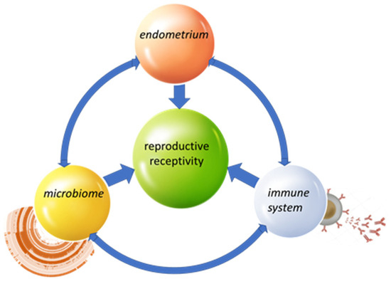 how to make glutathione suppositories High Potency Glutathione Suppository