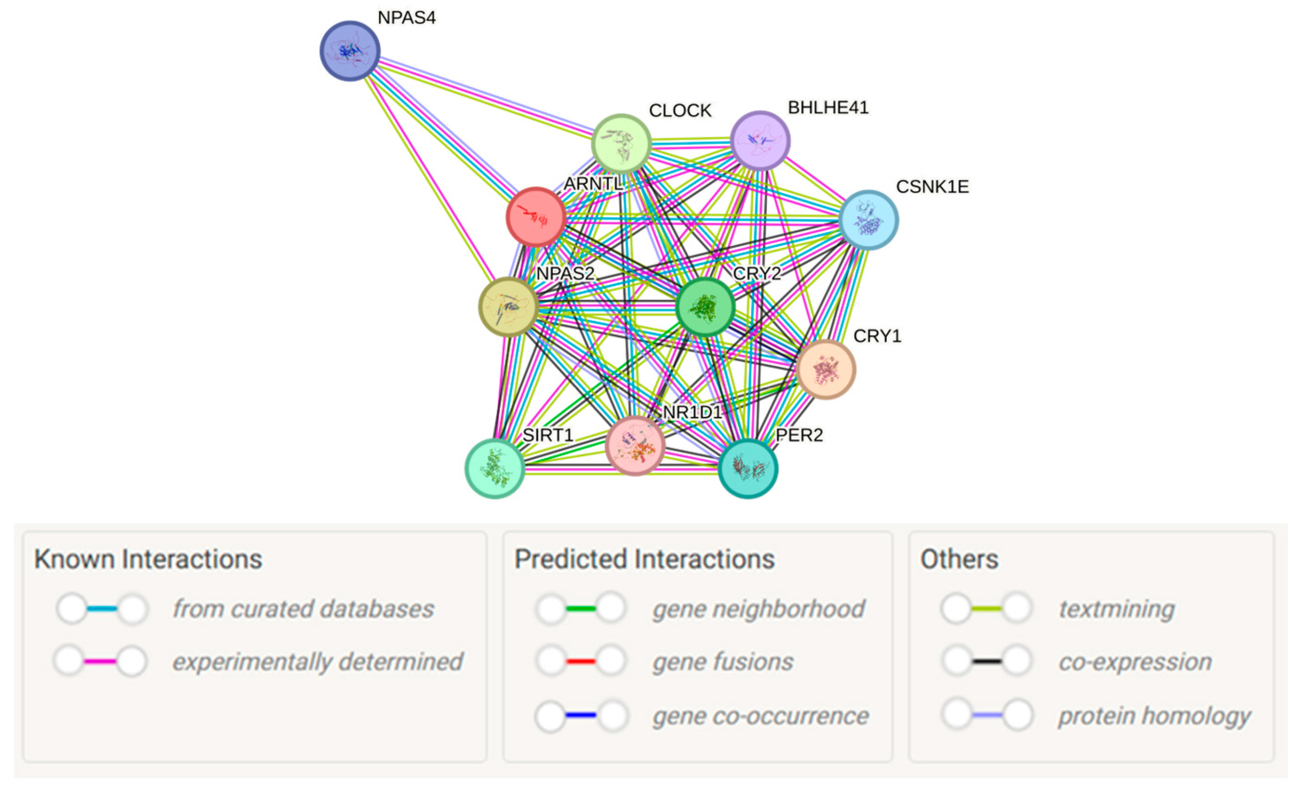 Ijms 26 10797 g001 Ijms 26 10797 g001