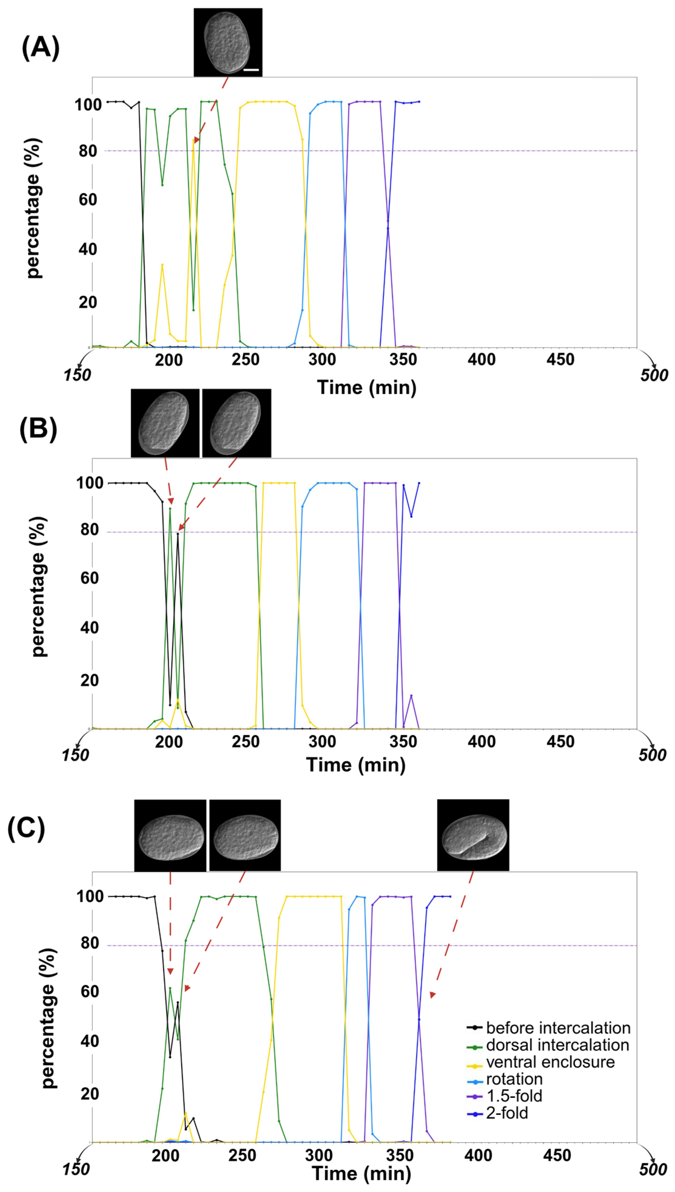 Ijms 26 10802 g004 Ijms 26 10802 g004