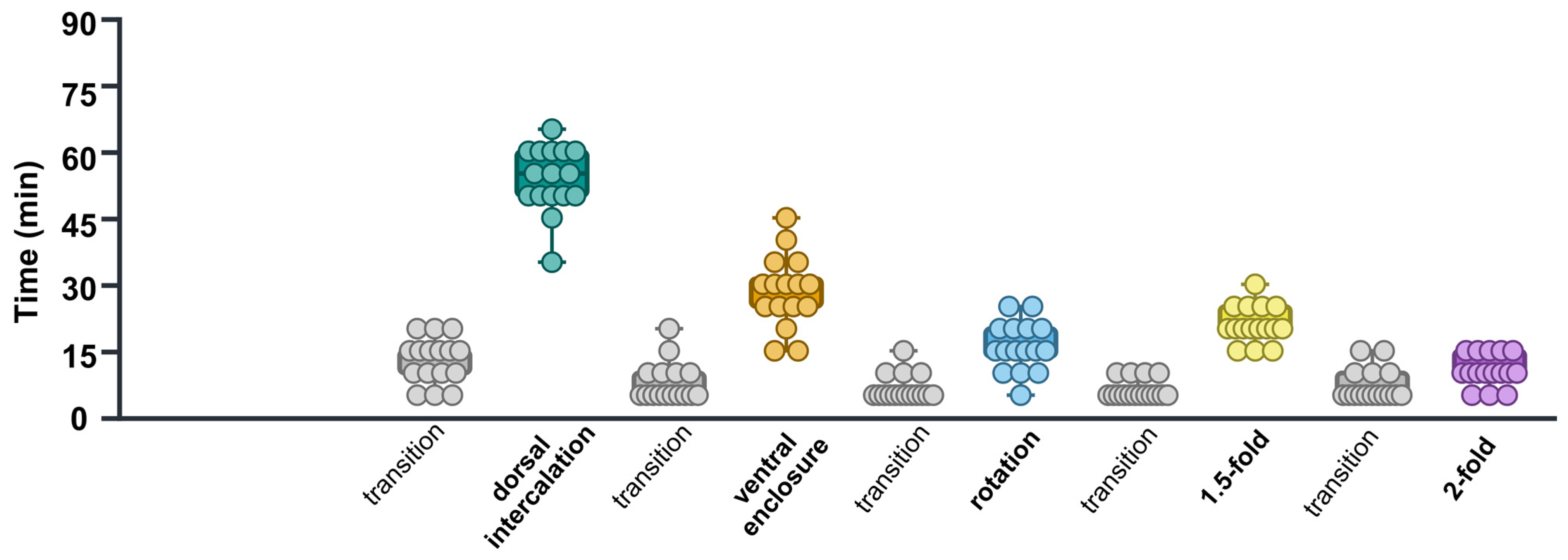 Ijms 26 10802 g005 Ijms 26 10802 g005