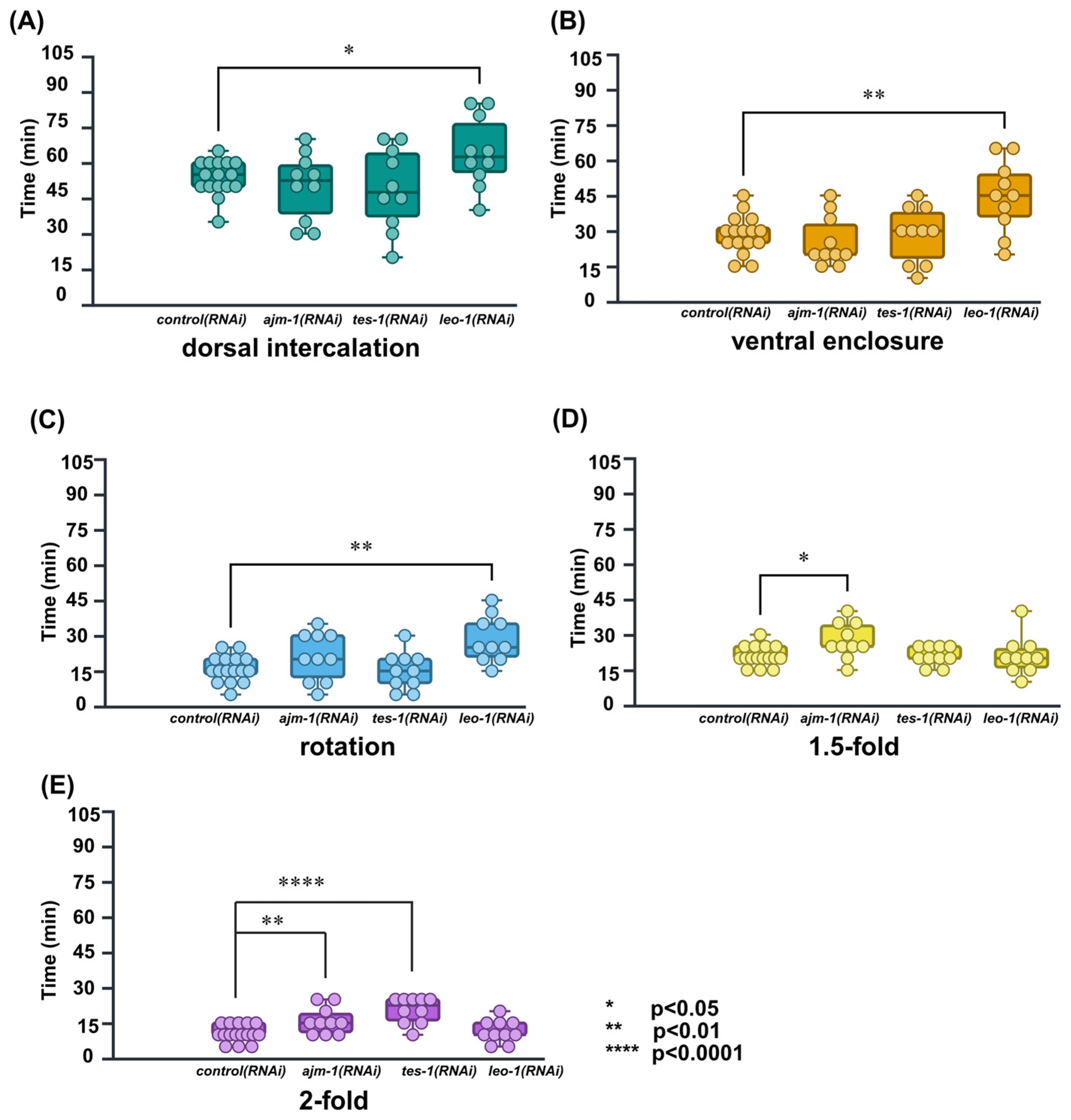 Ijms 26 10802 g006 Ijms 26 10802 g006