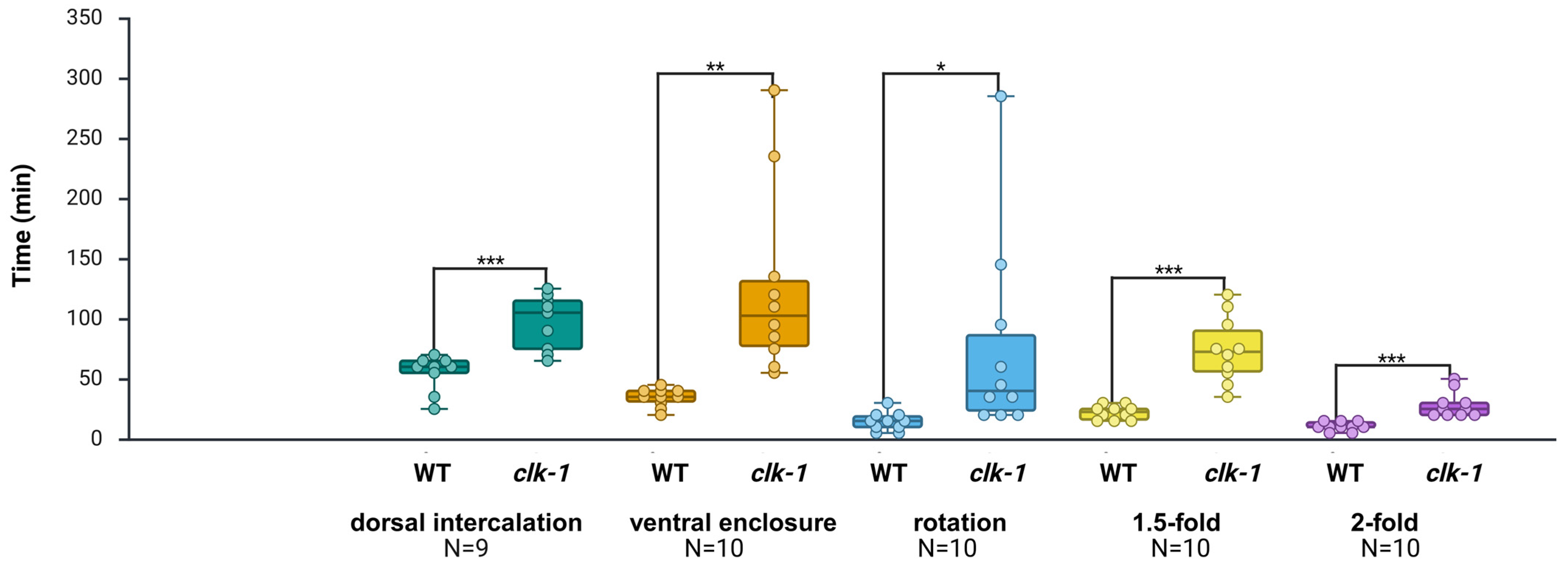 Ijms 26 10802 g007 Ijms 26 10802 g007