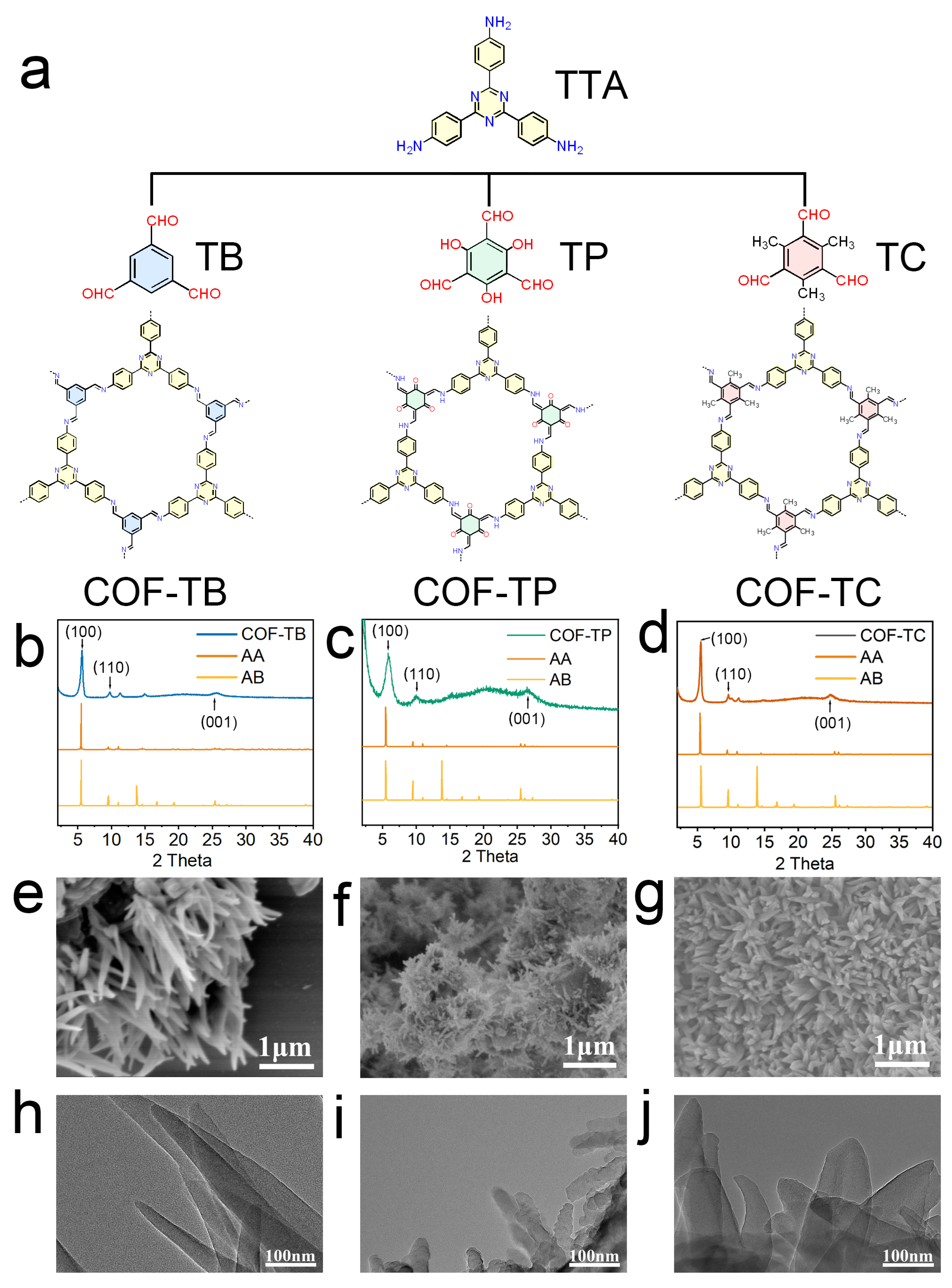 Ijms 26 10803 g001 Ijms 26 10803 g001