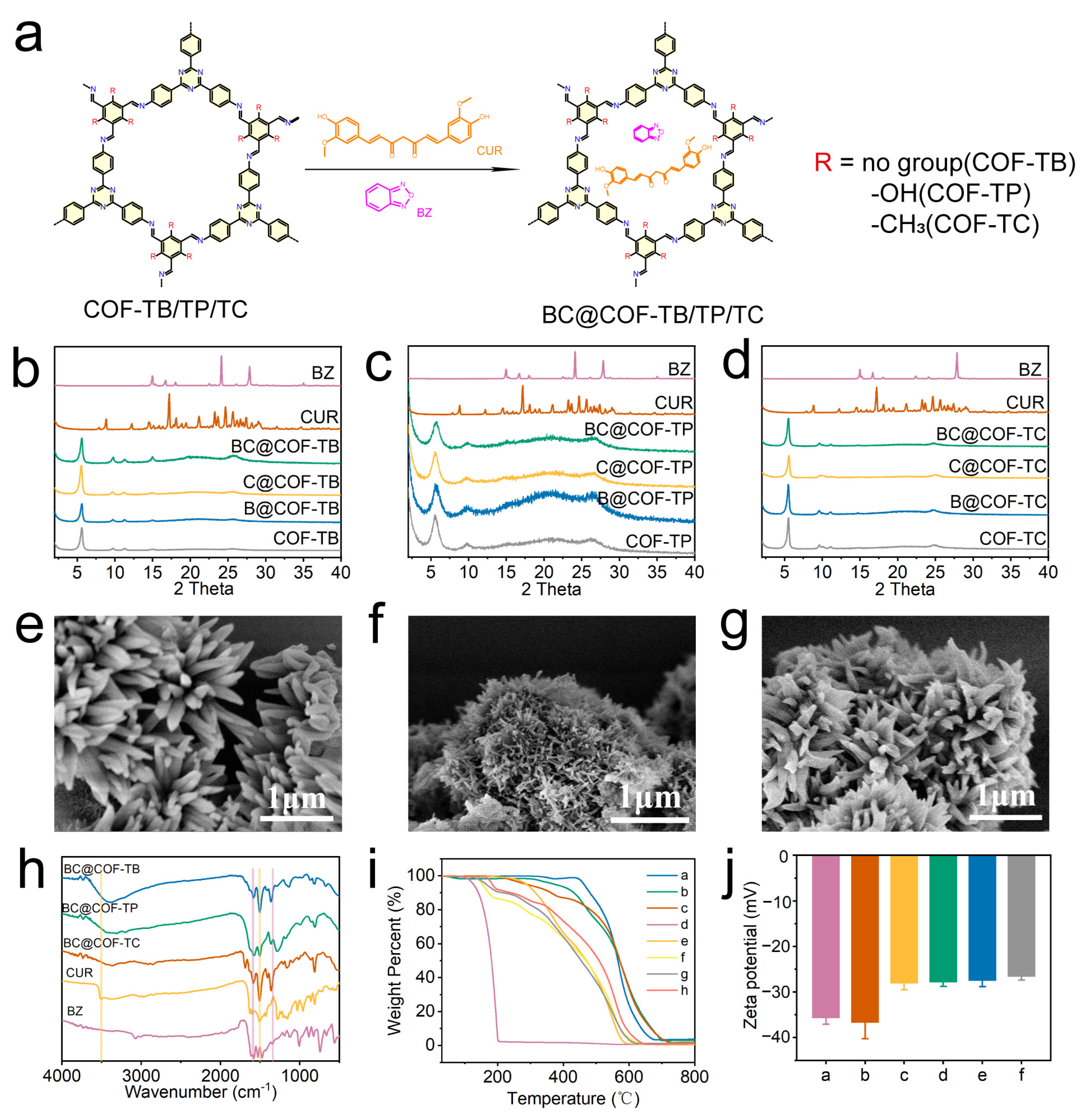 Ijms 26 10803 g002 Ijms 26 10803 g002