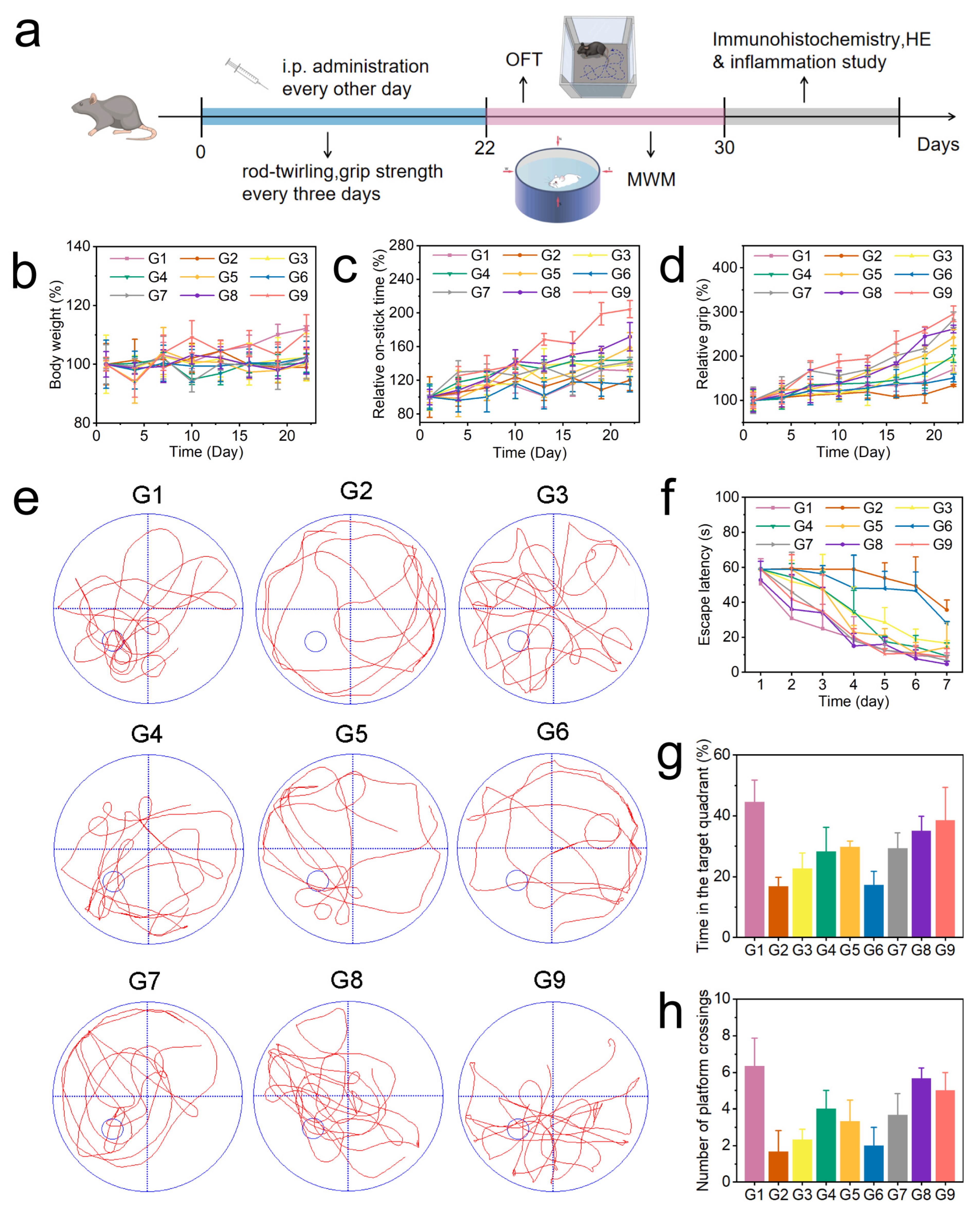 Ijms 26 10803 g004 Ijms 26 10803 g004