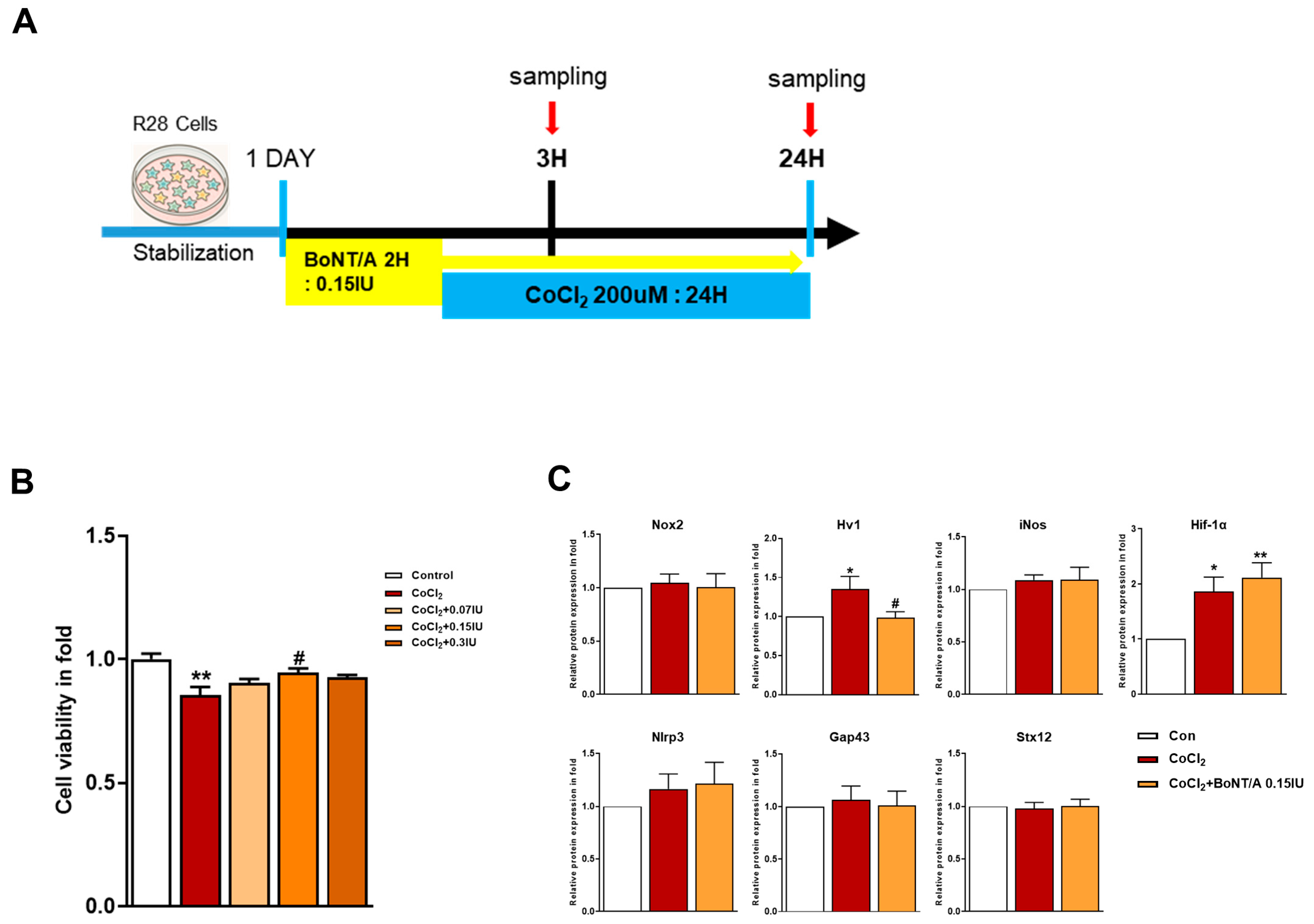 Ijms 26 10806 g001a Ijms 26 10806 g001a
