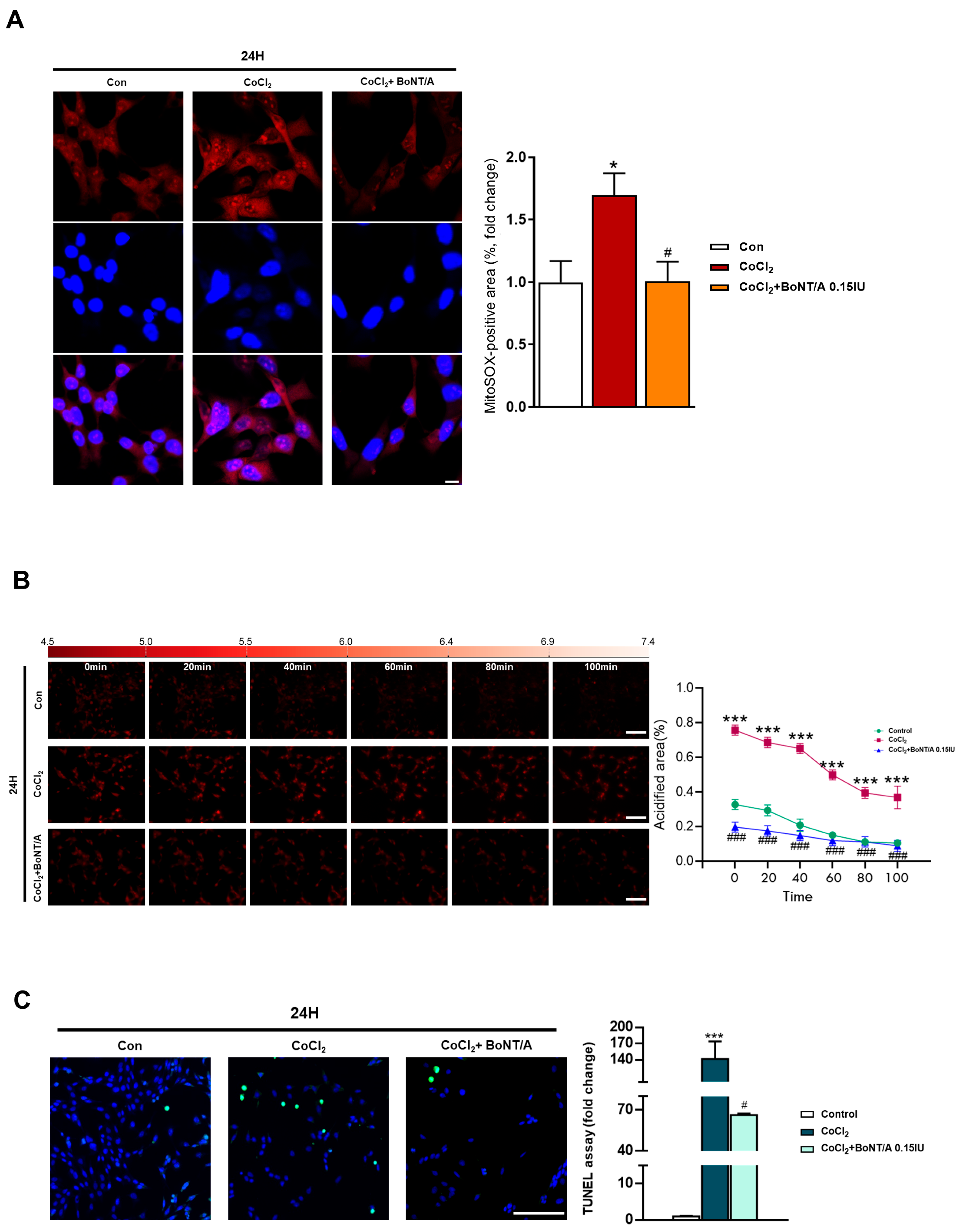 Ijms 26 10806 g002 Ijms 26 10806 g002