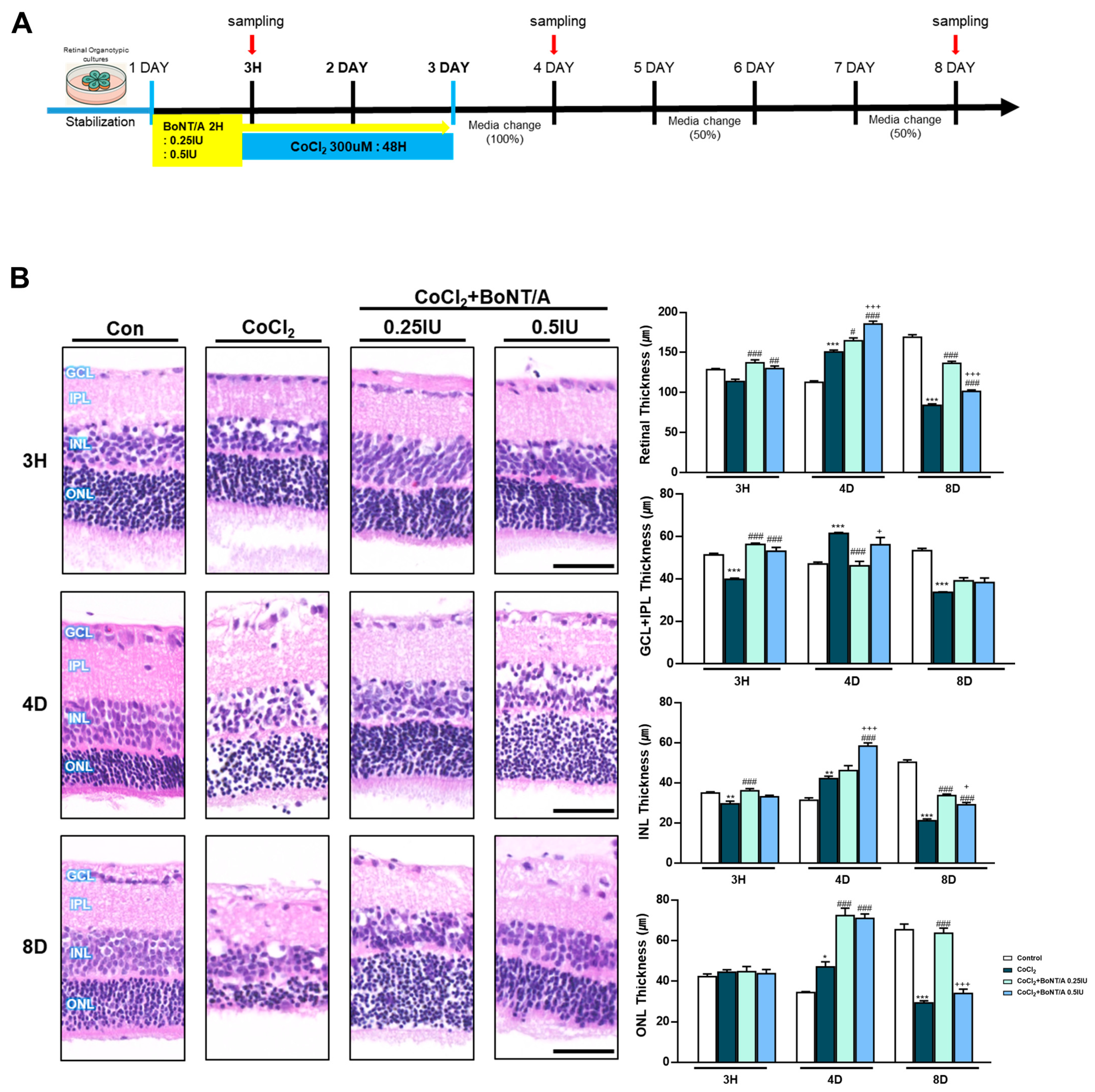 Ijms 26 10806 g003a Ijms 26 10806 g003a