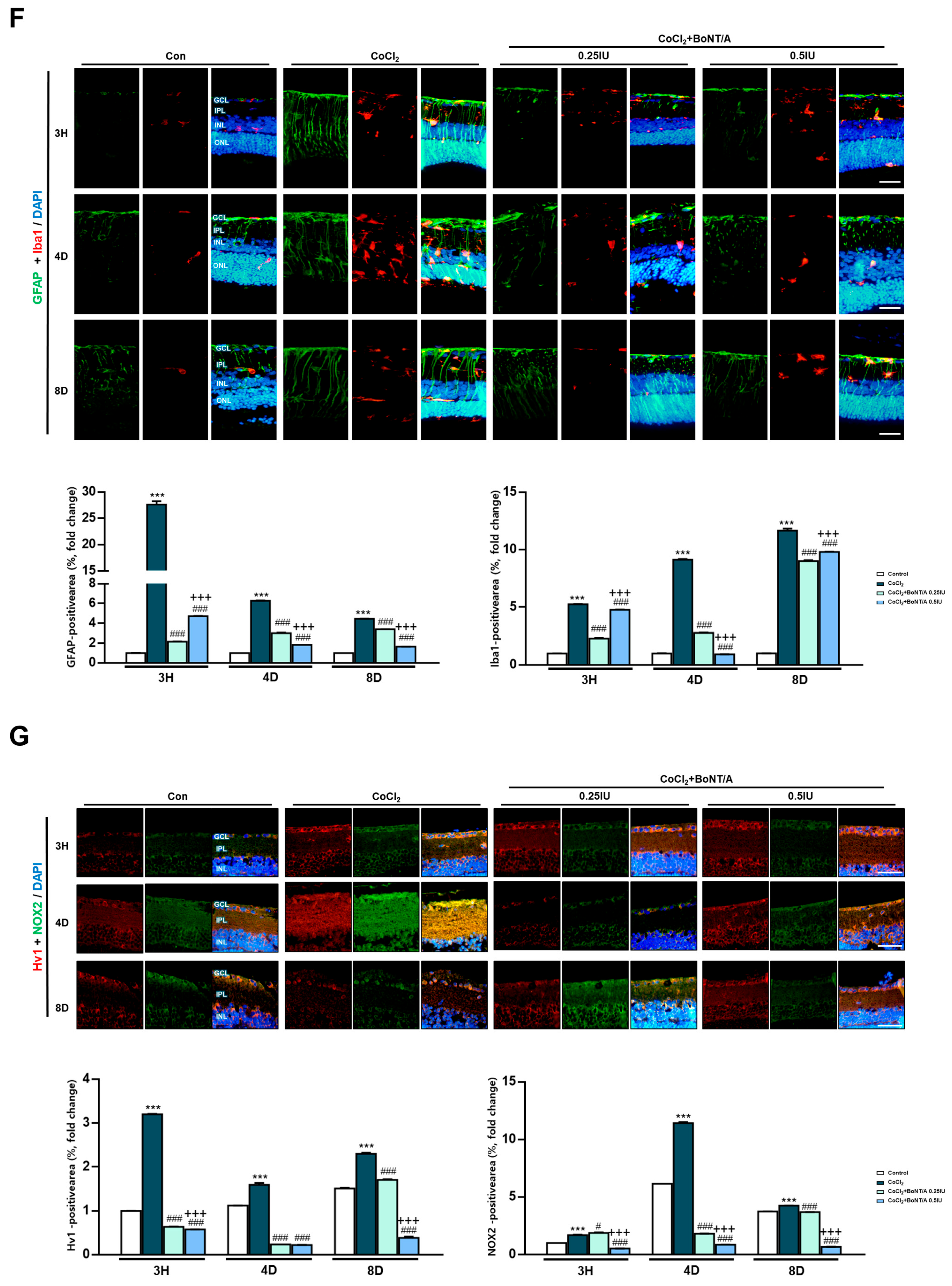 Ijms 26 10806 g003c Ijms 26 10806 g003c
