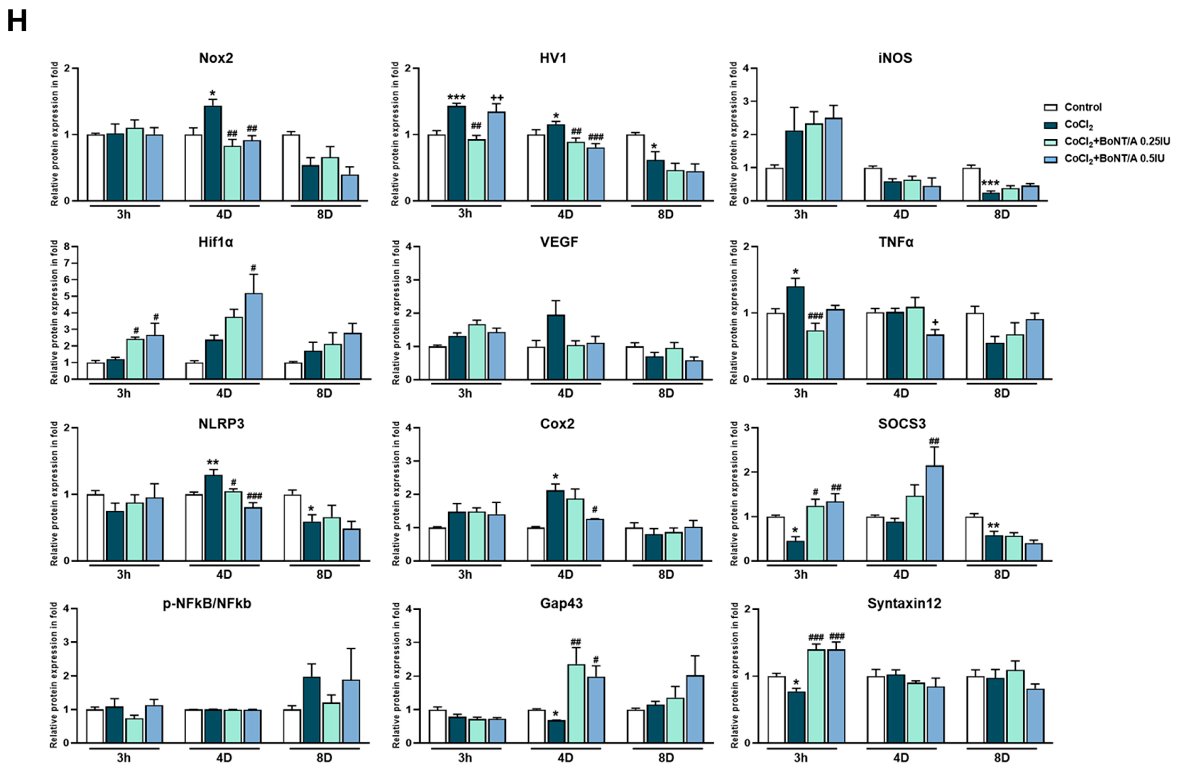 Ijms 26 10806 g003d Ijms 26 10806 g003d