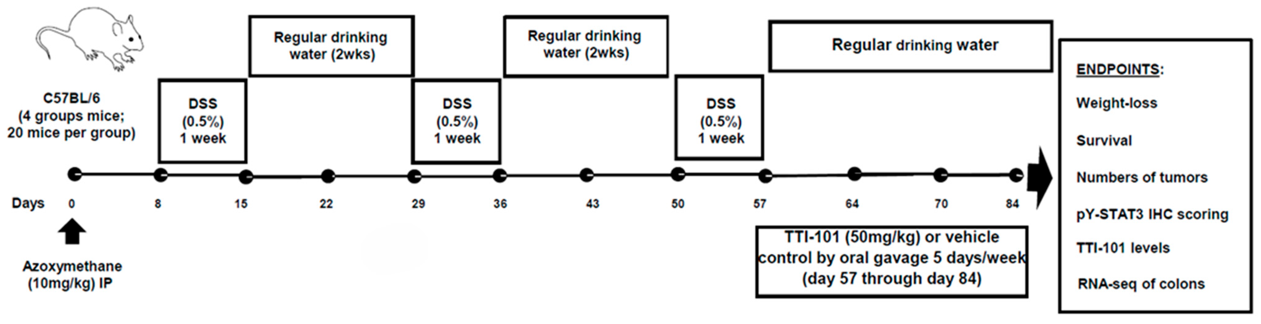 Ijms 26 10808 g001 Ijms 26 10808 g001