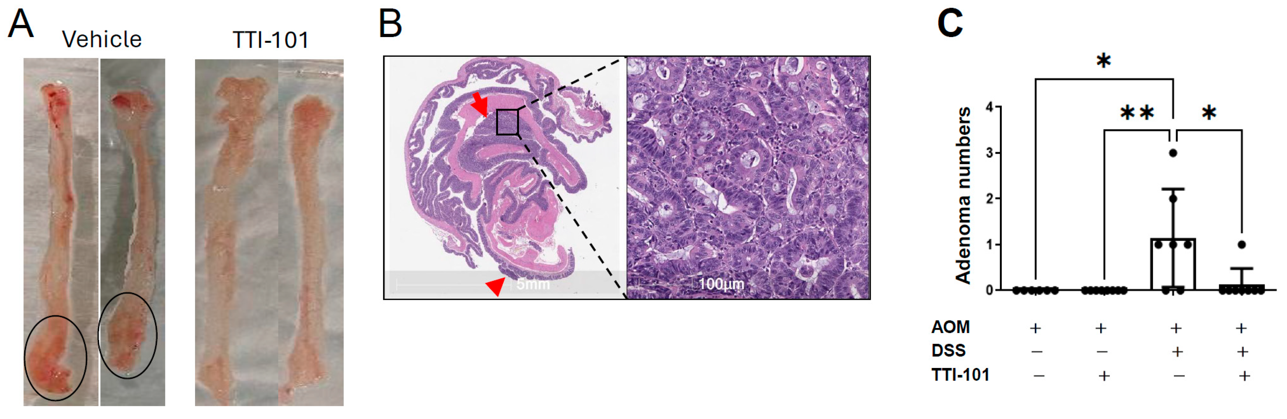 Ijms 26 10808 g002 Ijms 26 10808 g002