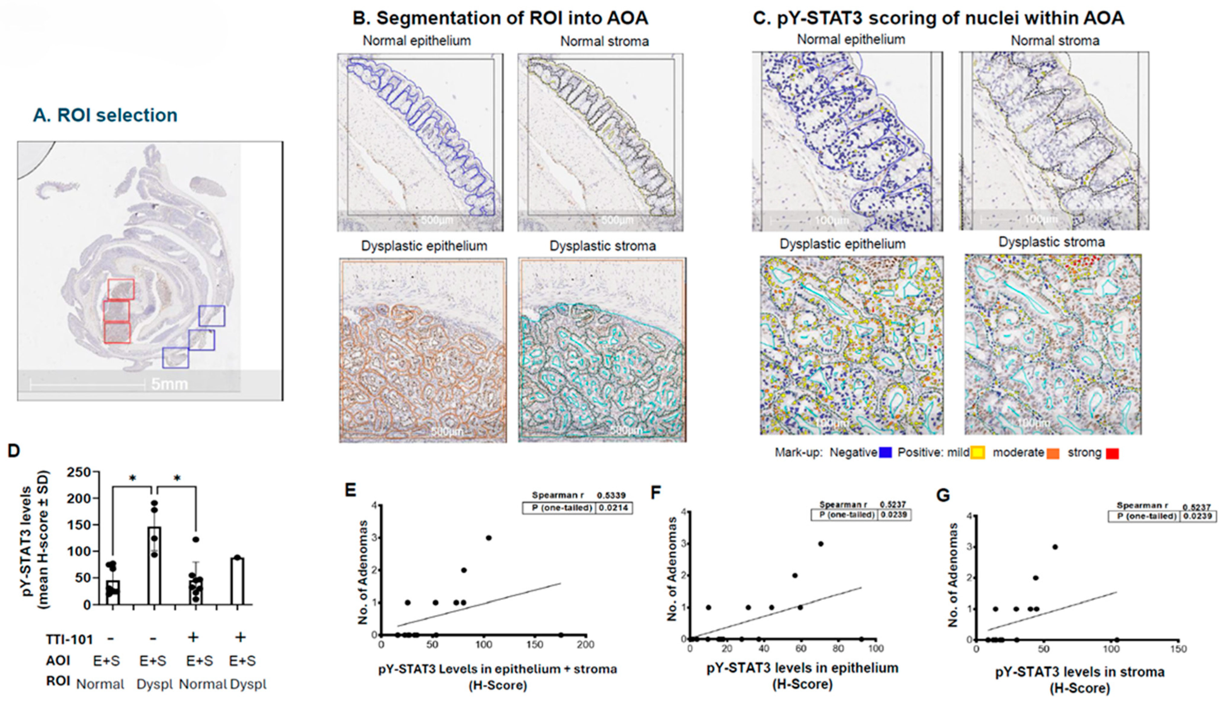 Ijms 26 10808 g003 Ijms 26 10808 g003