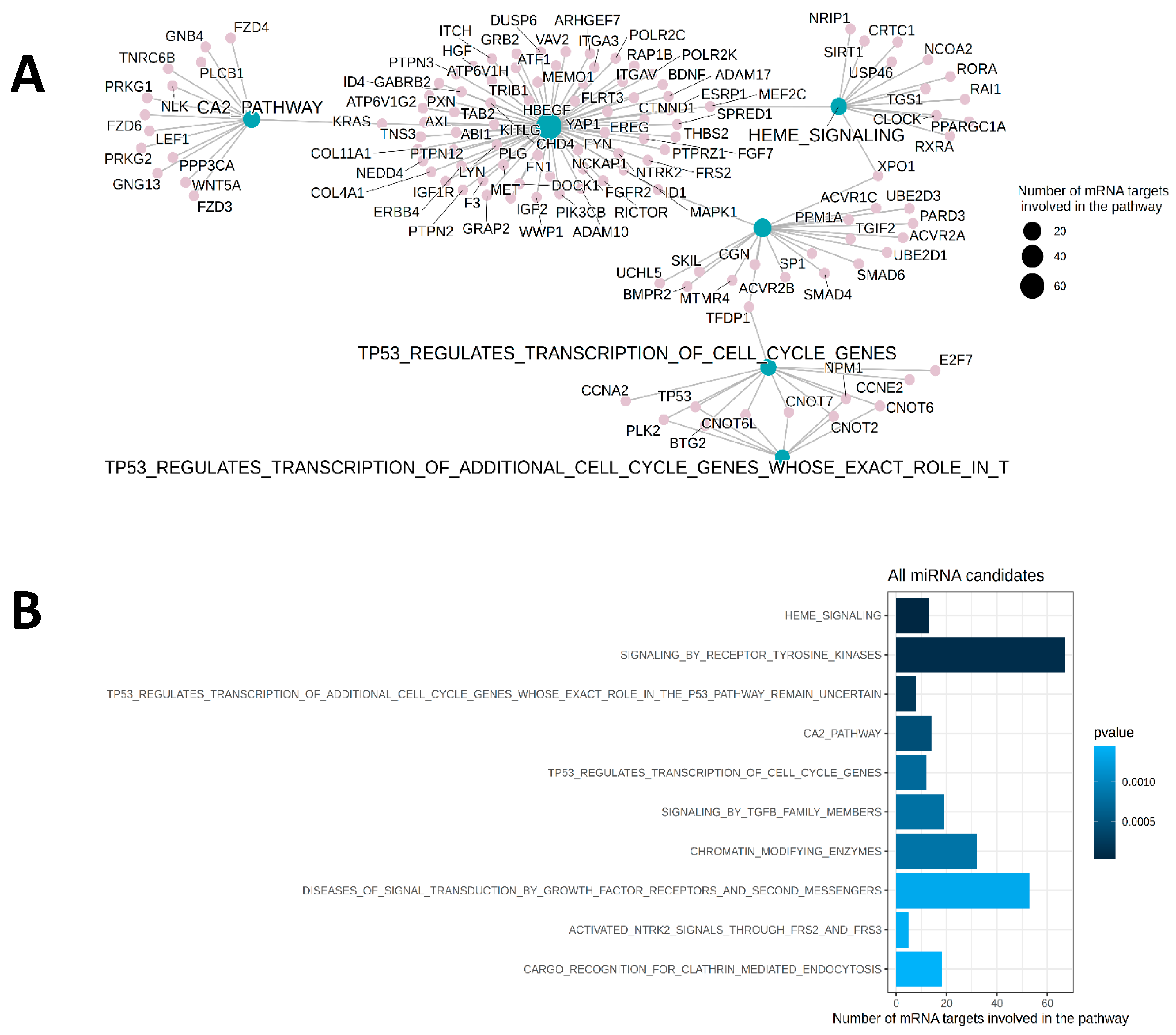 Ijms 26 10810 g005 Ijms 26 10810 g005