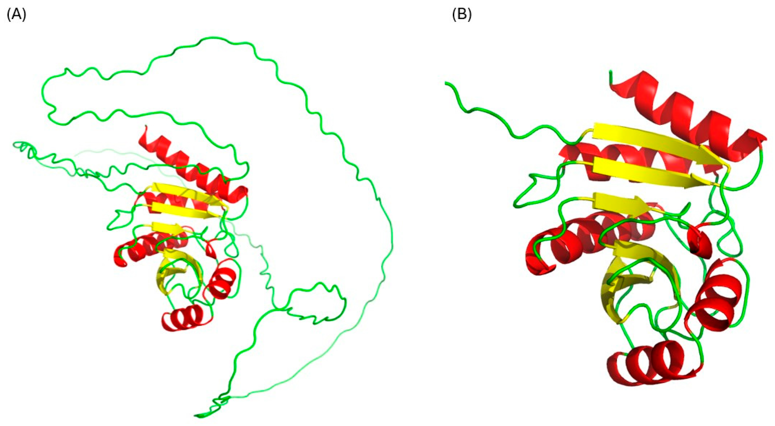 Ijms 26 10872 g001 Ijms 26 10872 g001