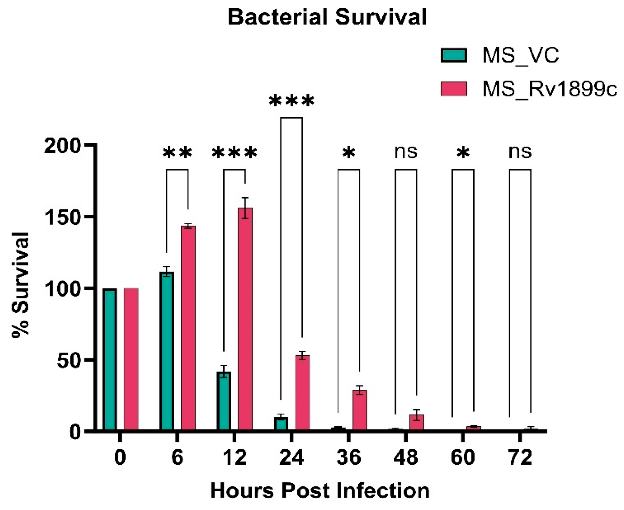 Ijms 26 10872 g003 Ijms 26 10872 g003
