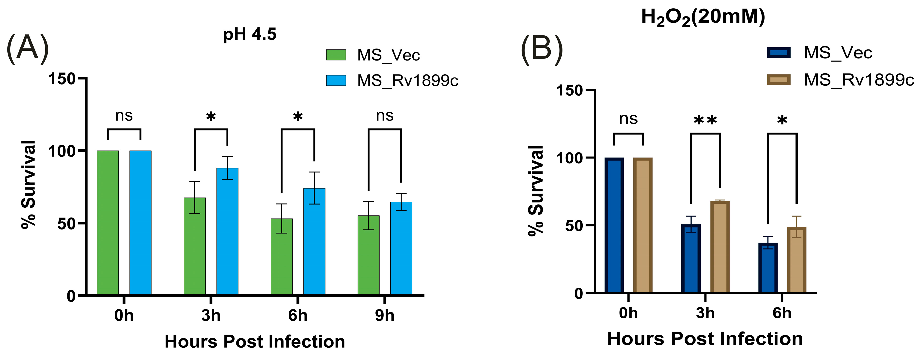 Ijms 26 10872 g004 Ijms 26 10872 g004