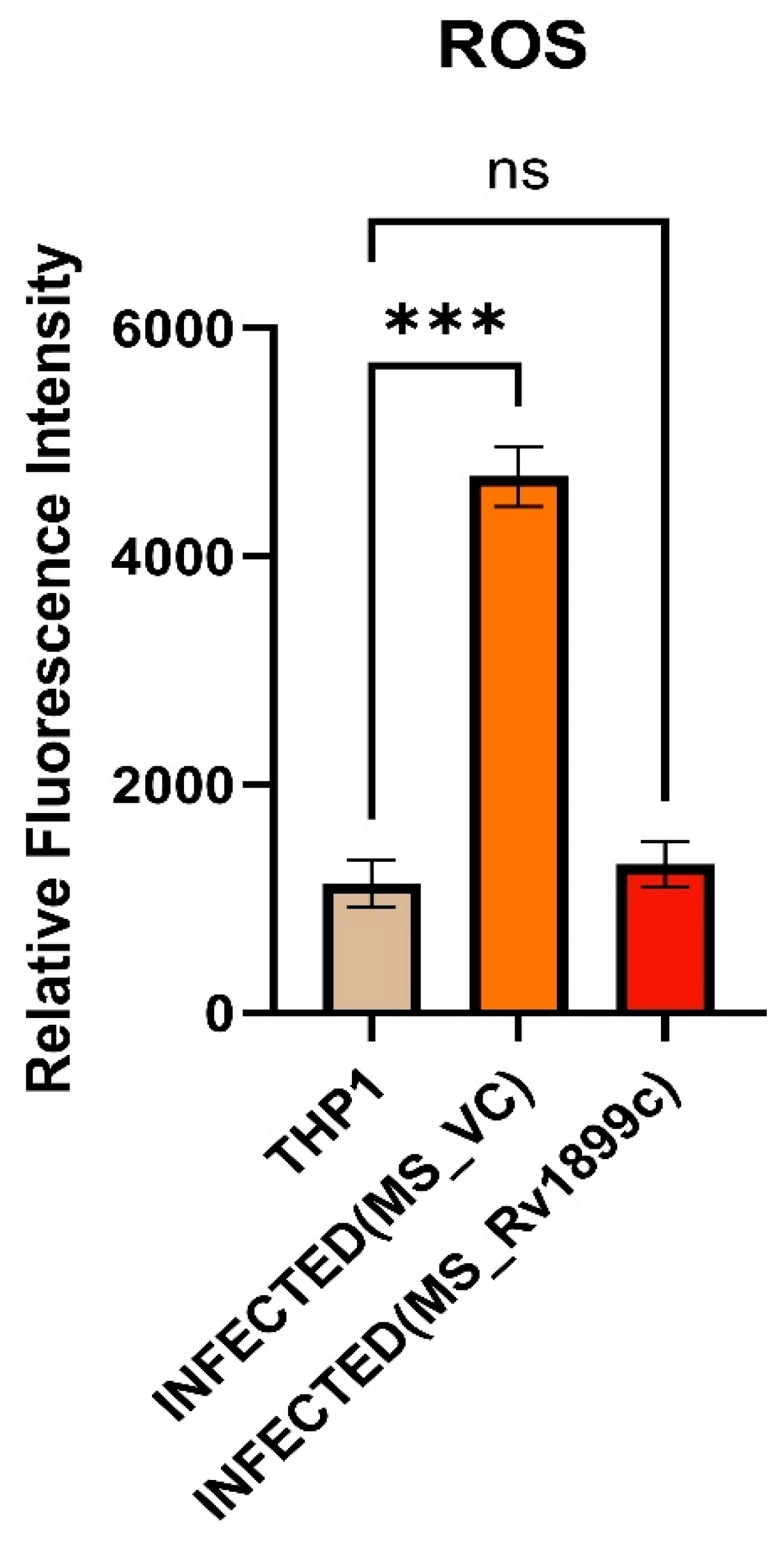 Ijms 26 10872 g005 Ijms 26 10872 g005