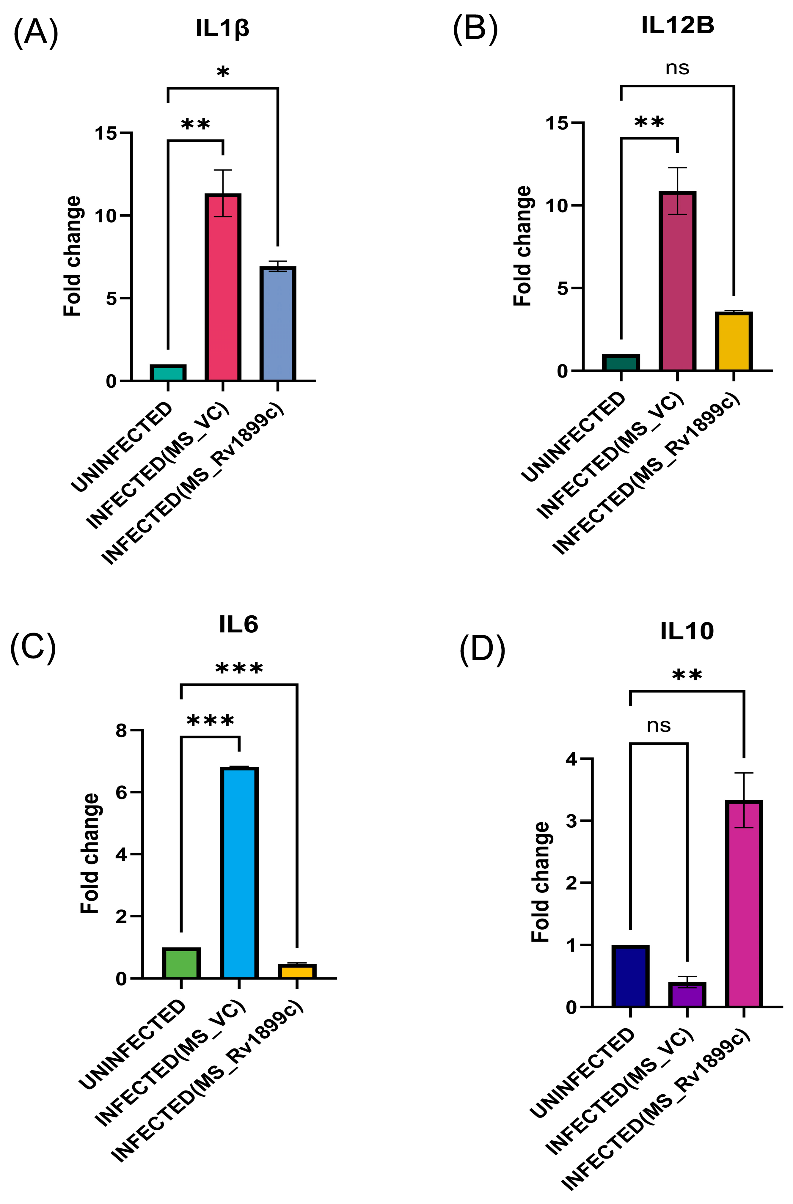 Ijms 26 10872 g006 Ijms 26 10872 g006