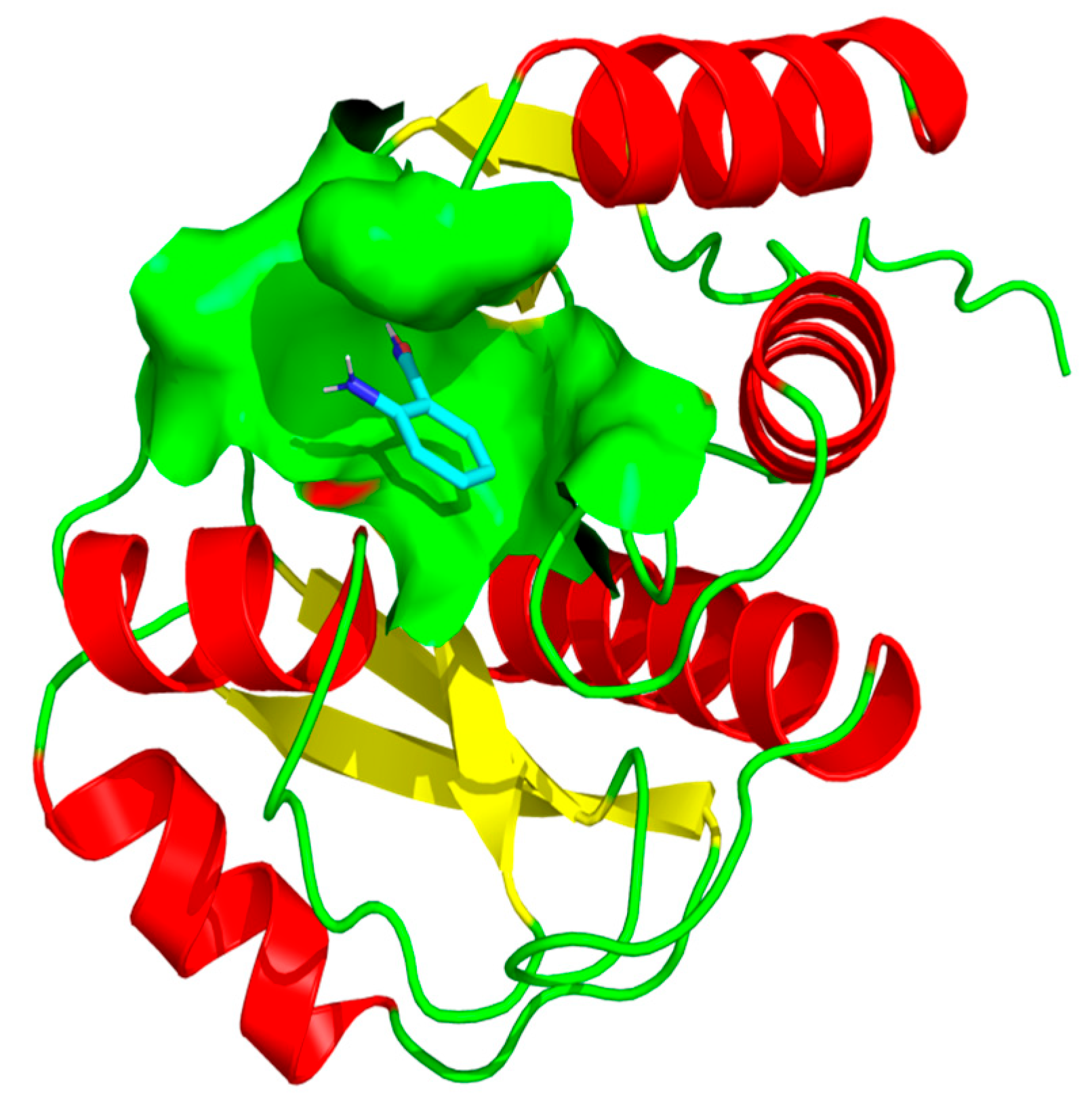 Ijms 26 10872 g008 Ijms 26 10872 g008