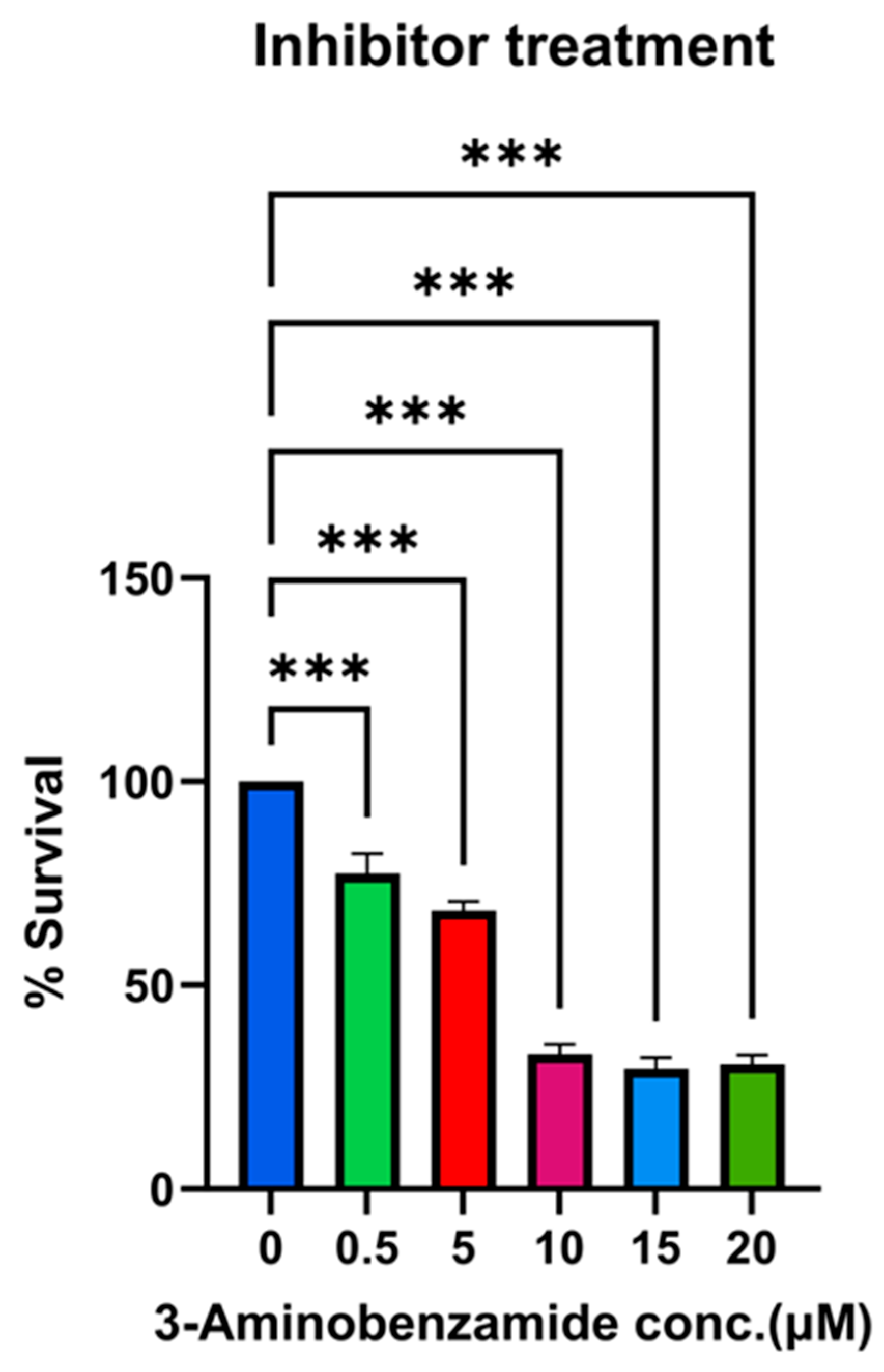 Ijms 26 10872 g012 Ijms 26 10872 g012