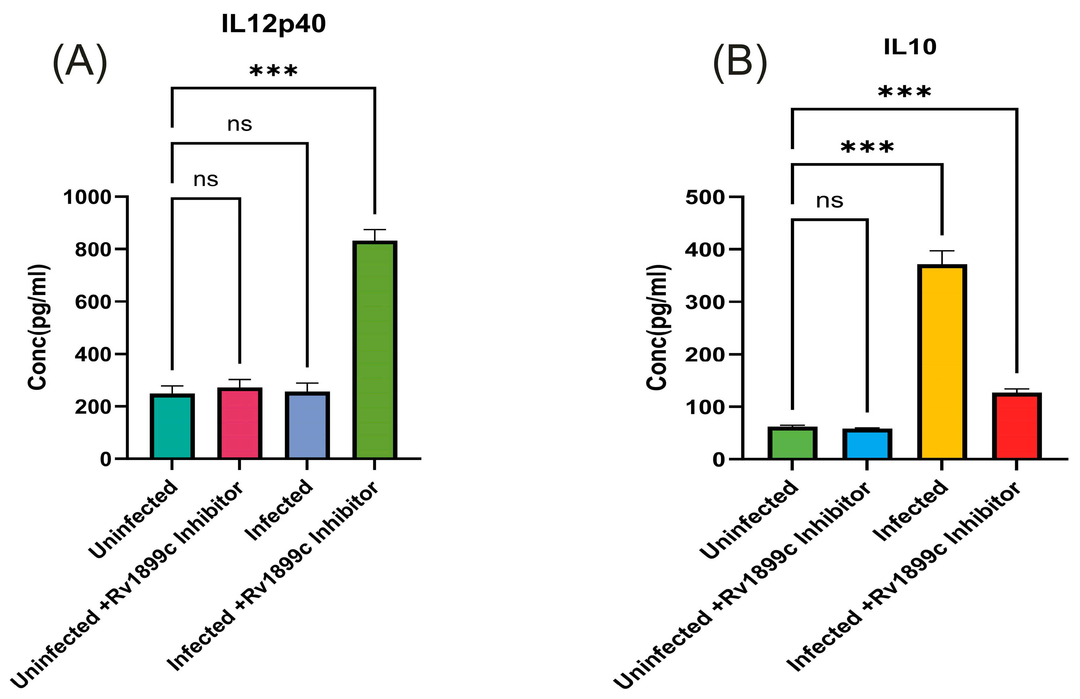 Ijms 26 10872 g013 Ijms 26 10872 g013
