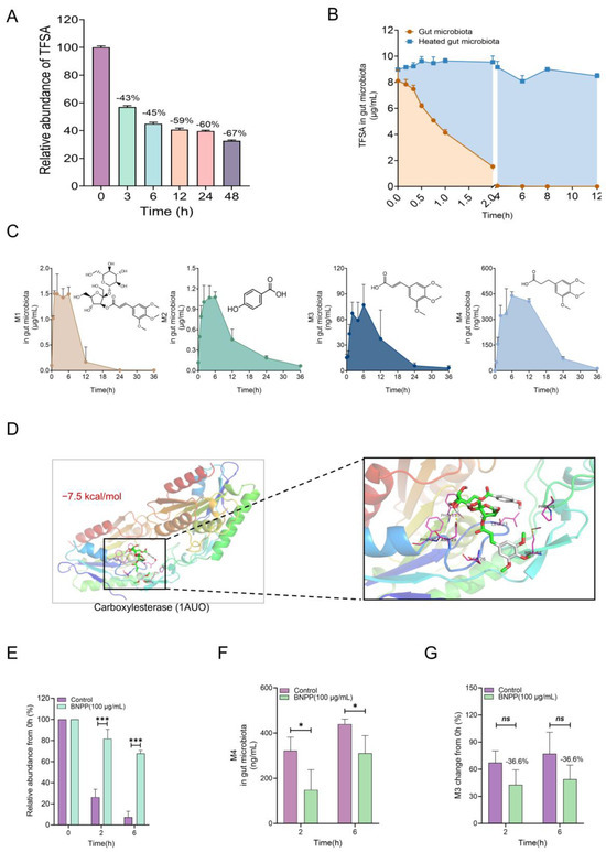 Integrated Gut Microbiota–Drug Interaction Analysis and Network