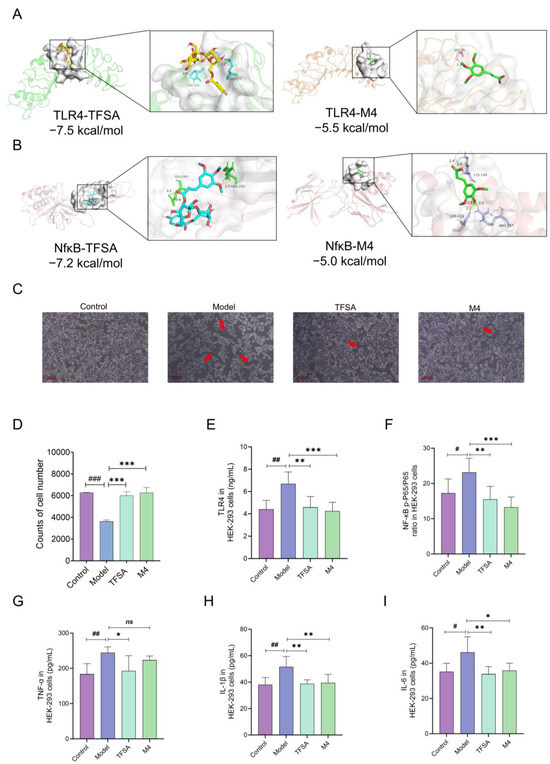 Integrated Gut Microbiota–Drug Interaction Analysis and Network