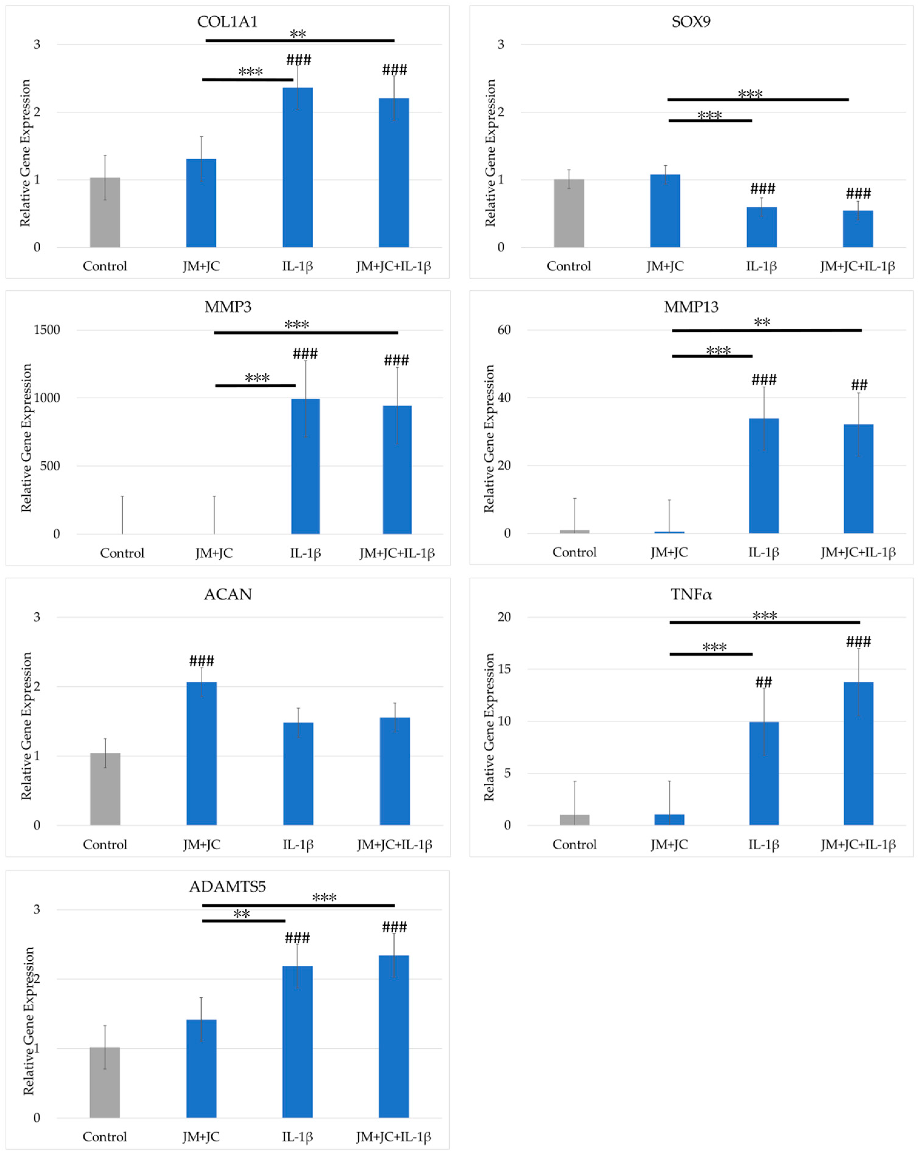 Ijms 26 10920 g004 Ijms 26 10920 g004