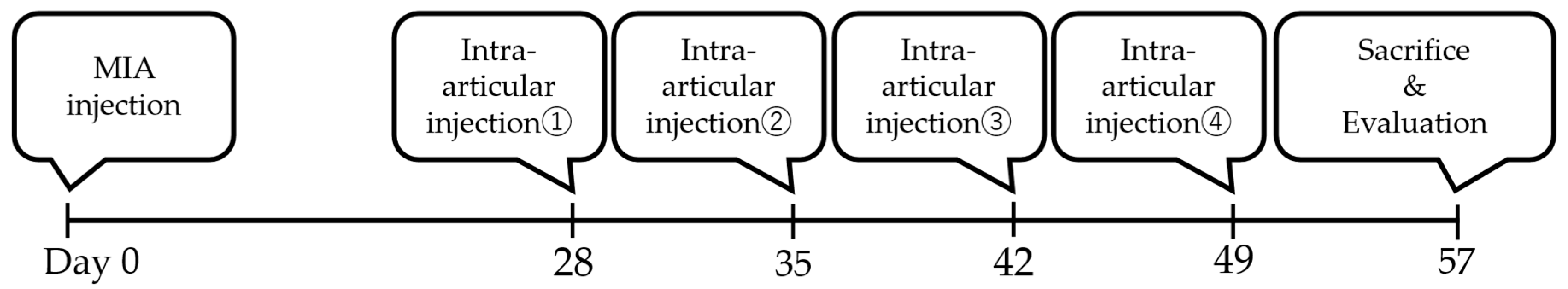 Ijms 26 10920 g009 Ijms 26 10920 g009