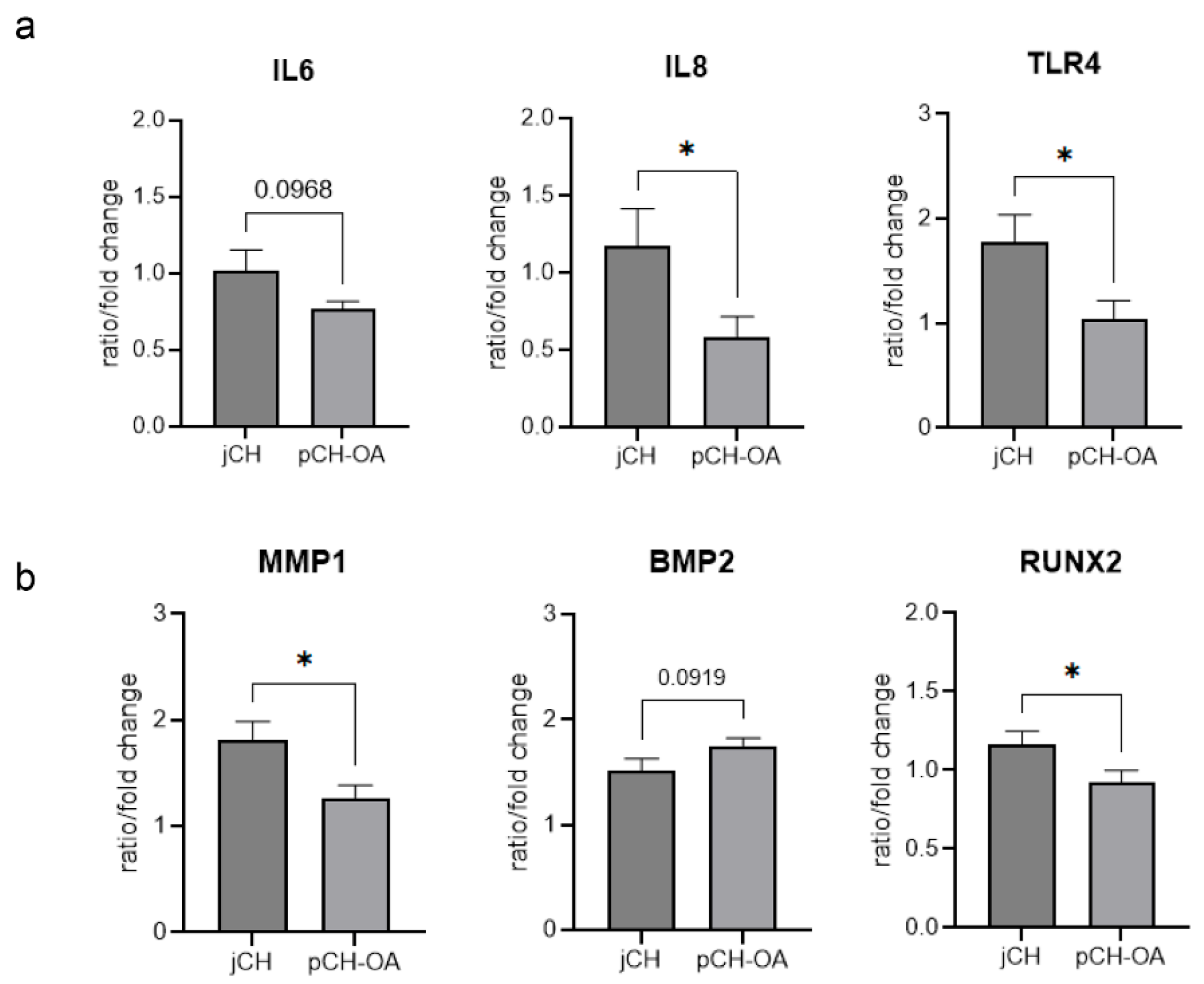 Ijms 26 10934 g004 Ijms 26 10934 g004