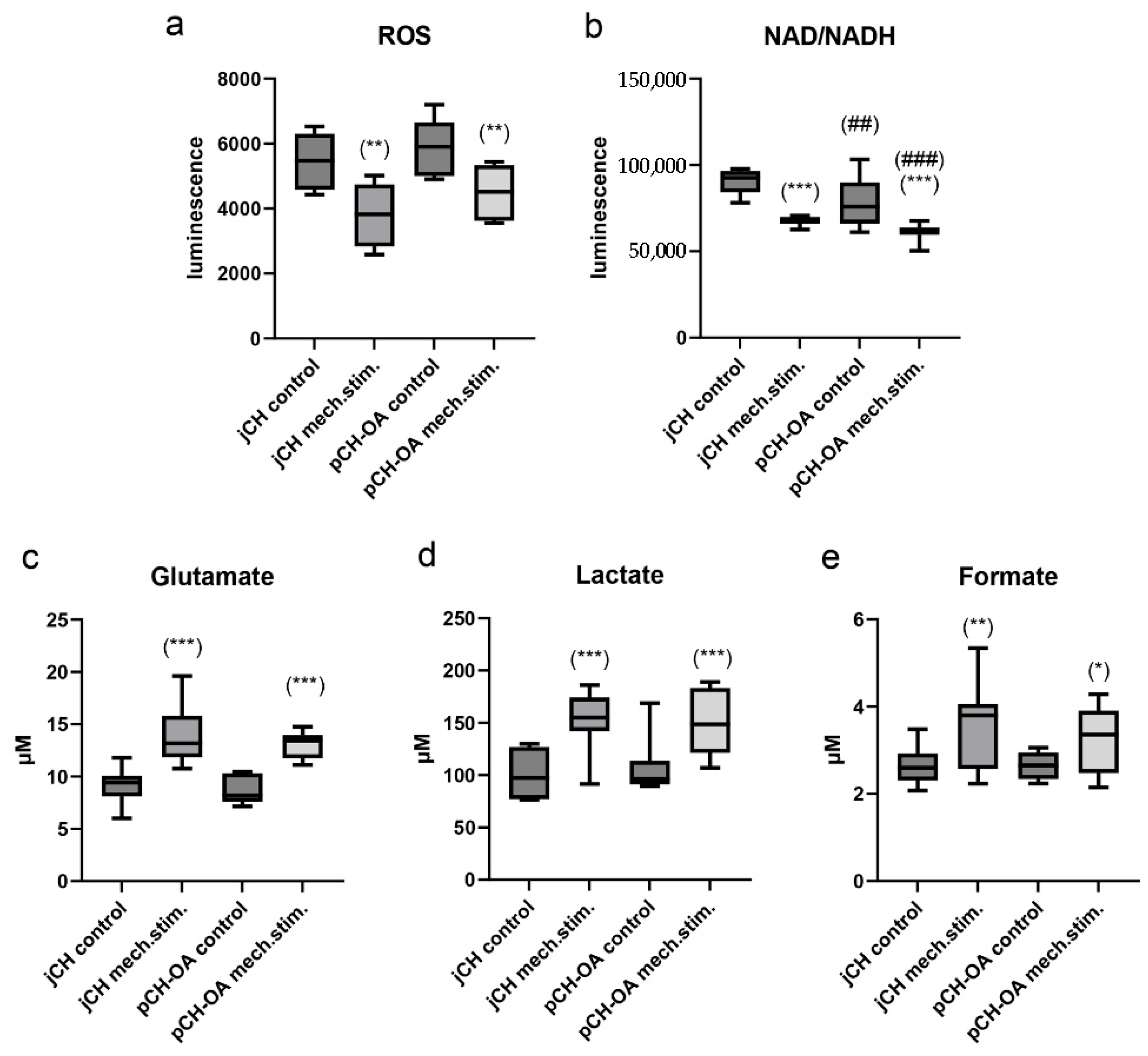 Ijms 26 10934 g005 Ijms 26 10934 g005