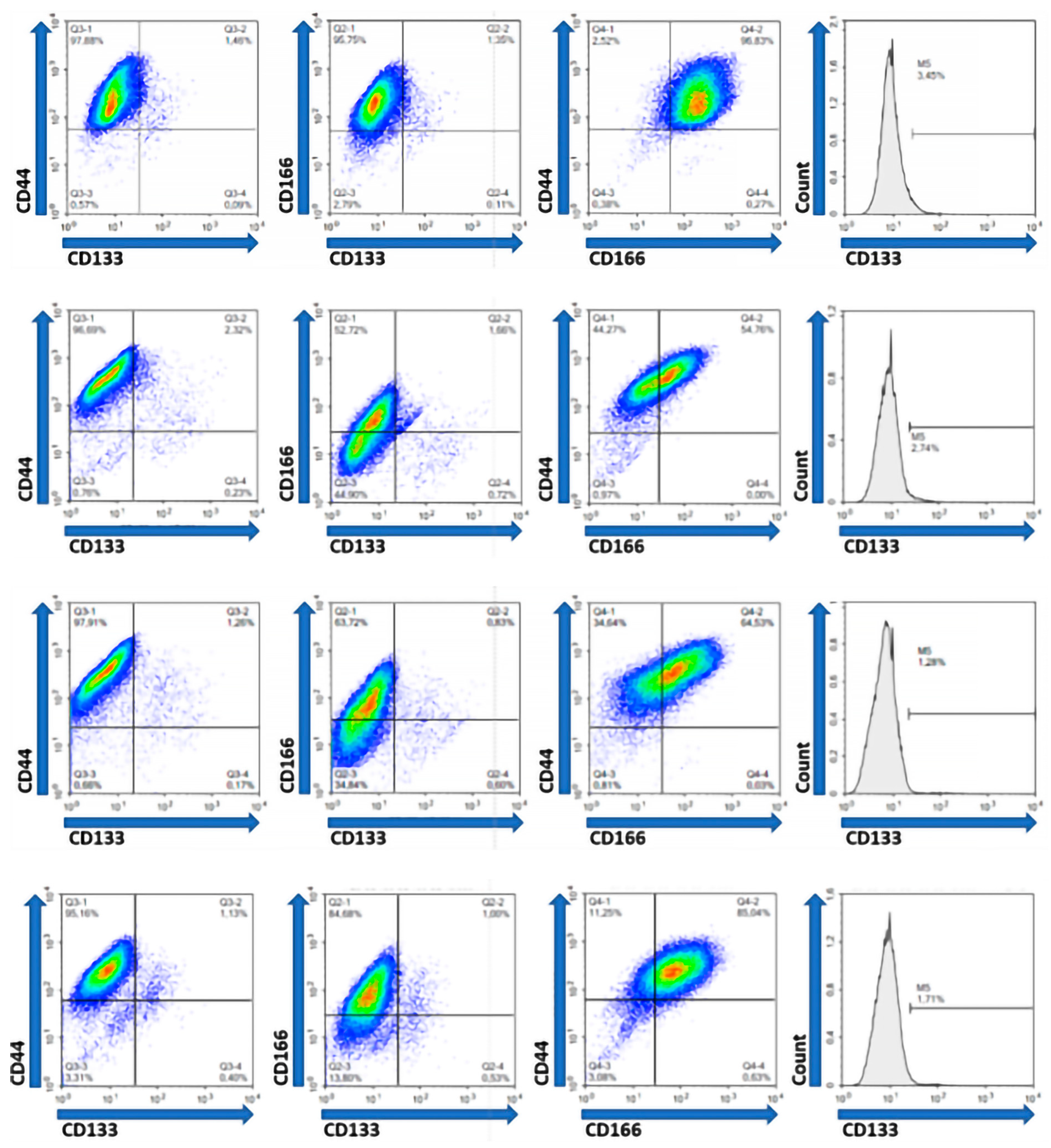 Ijms 26 10939 g003 Ijms 26 10939 g003