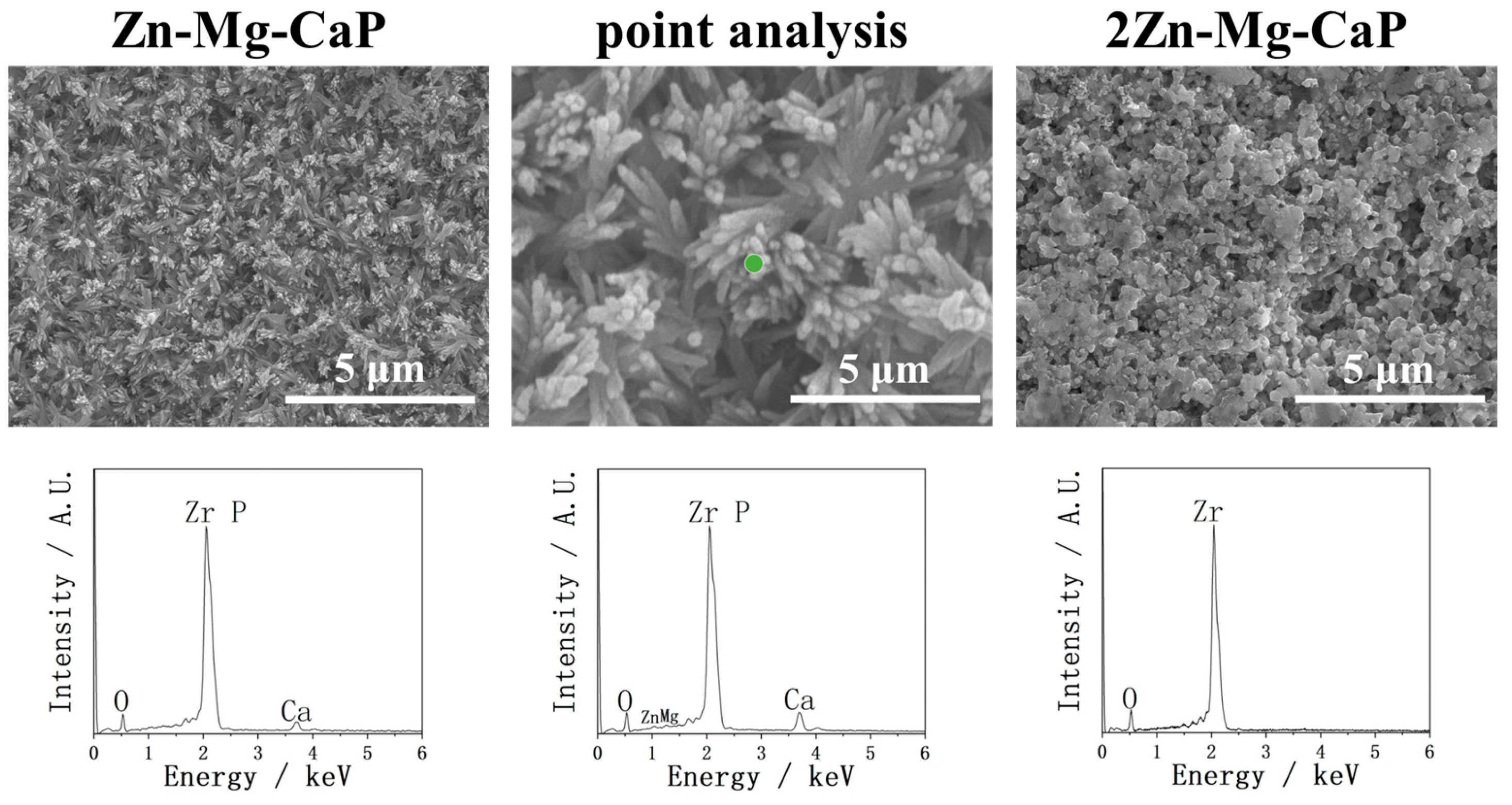 Ijms 26 10950 g006 Ijms 26 10950 g006