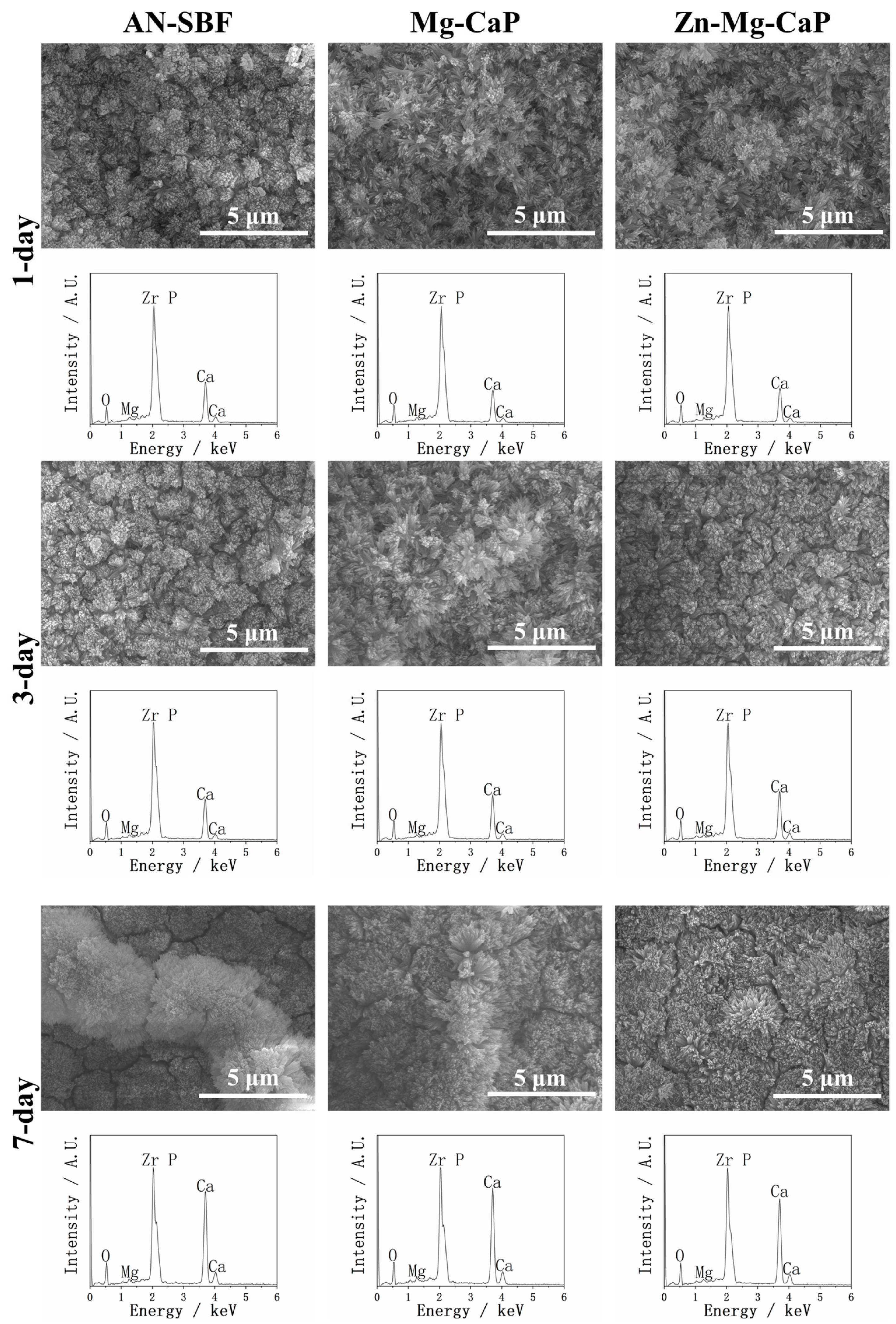 Ijms 26 10950 g007 Ijms 26 10950 g007
