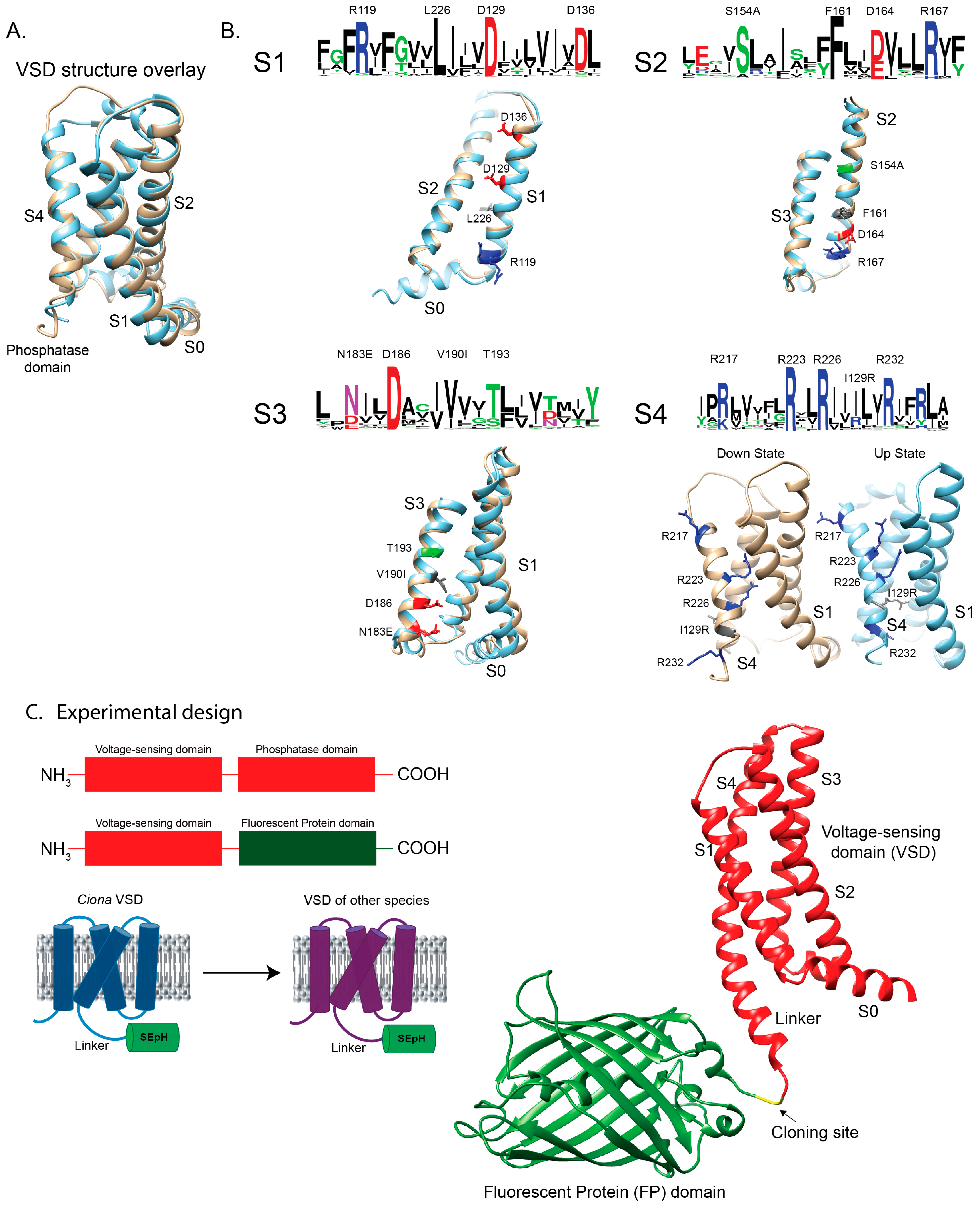 Ijms 26 10963 g001 Ijms 26 10963 g001