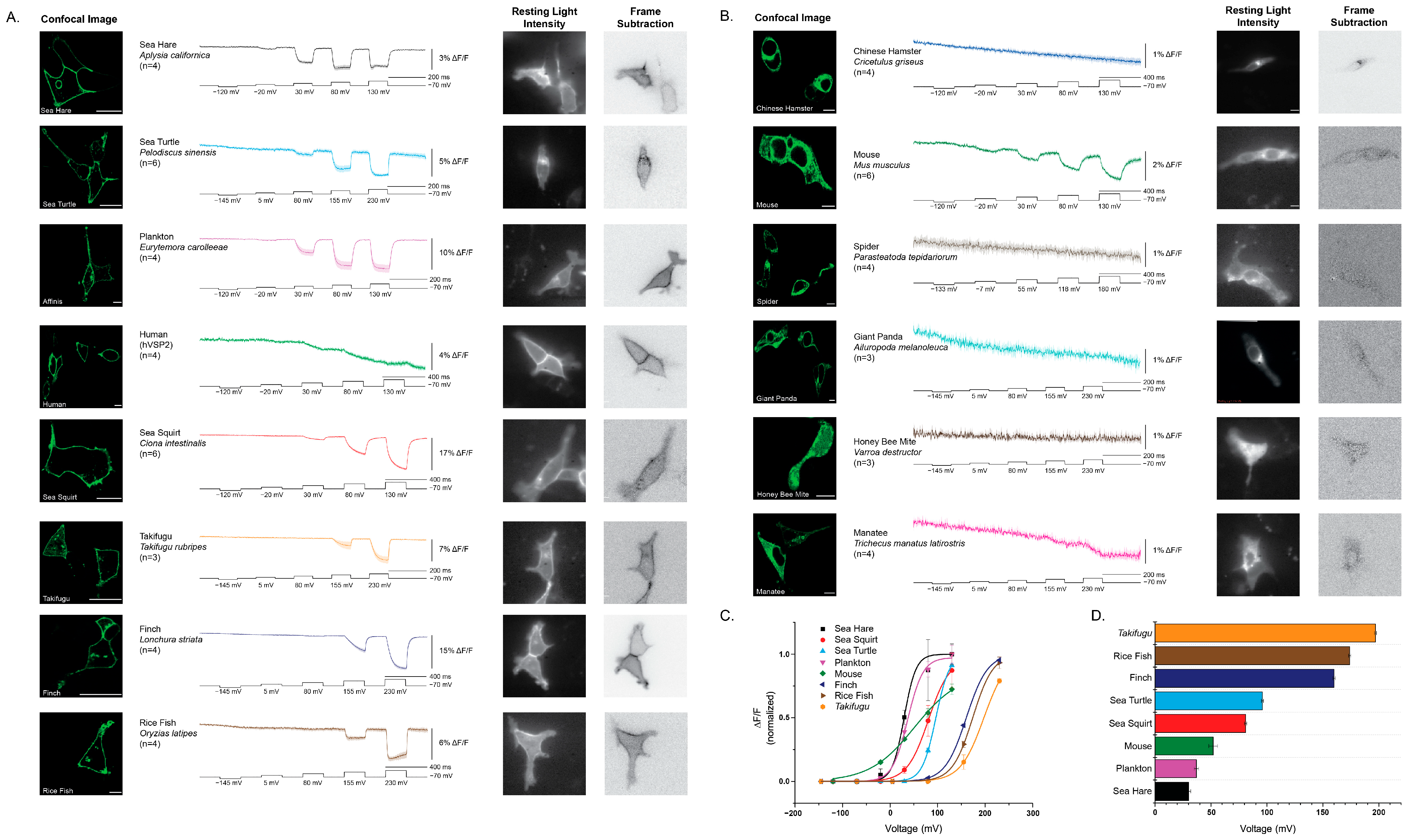 Ijms 26 10963 g002 Ijms 26 10963 g002
