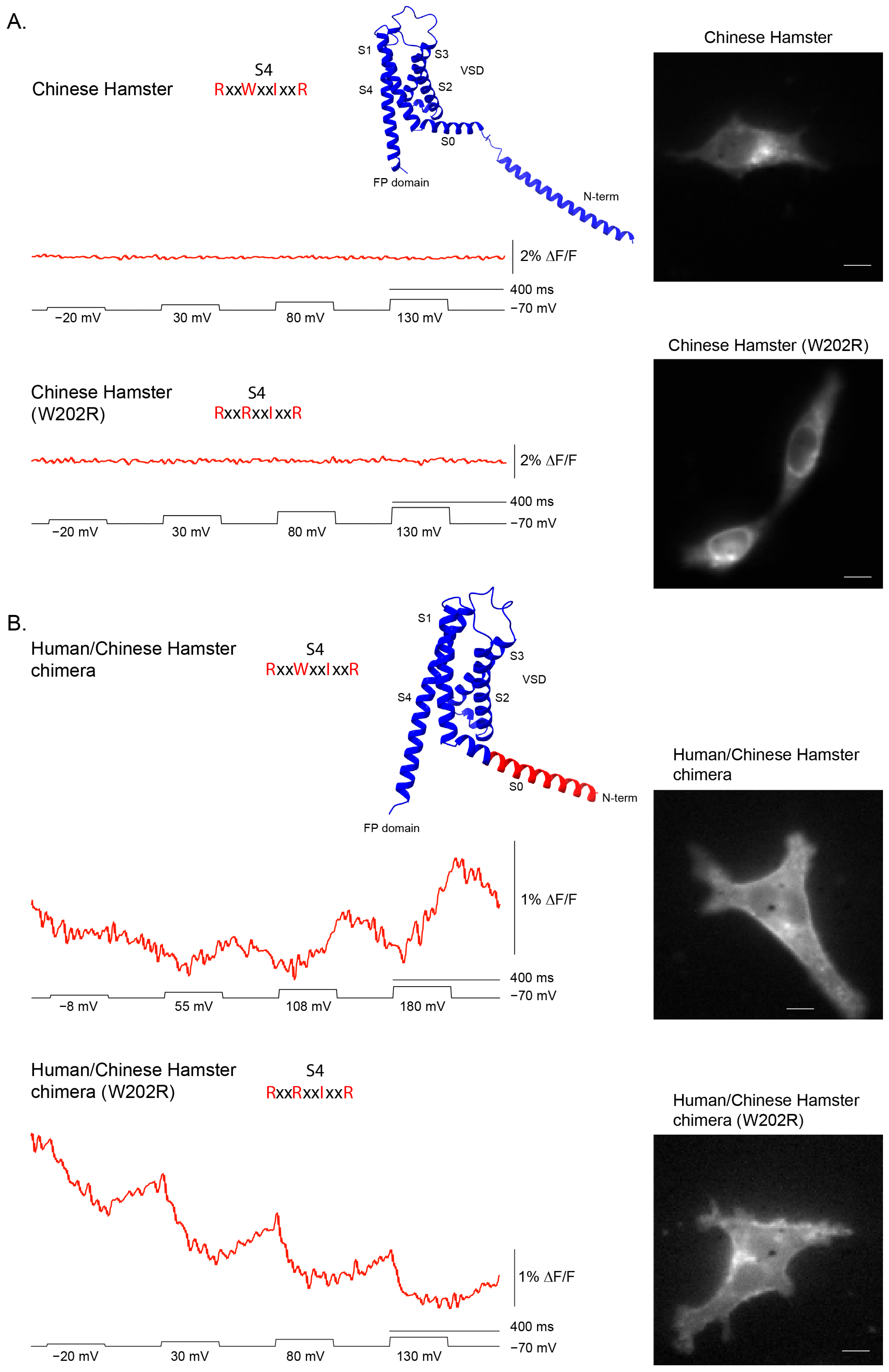 Ijms 26 10963 g005 Ijms 26 10963 g005