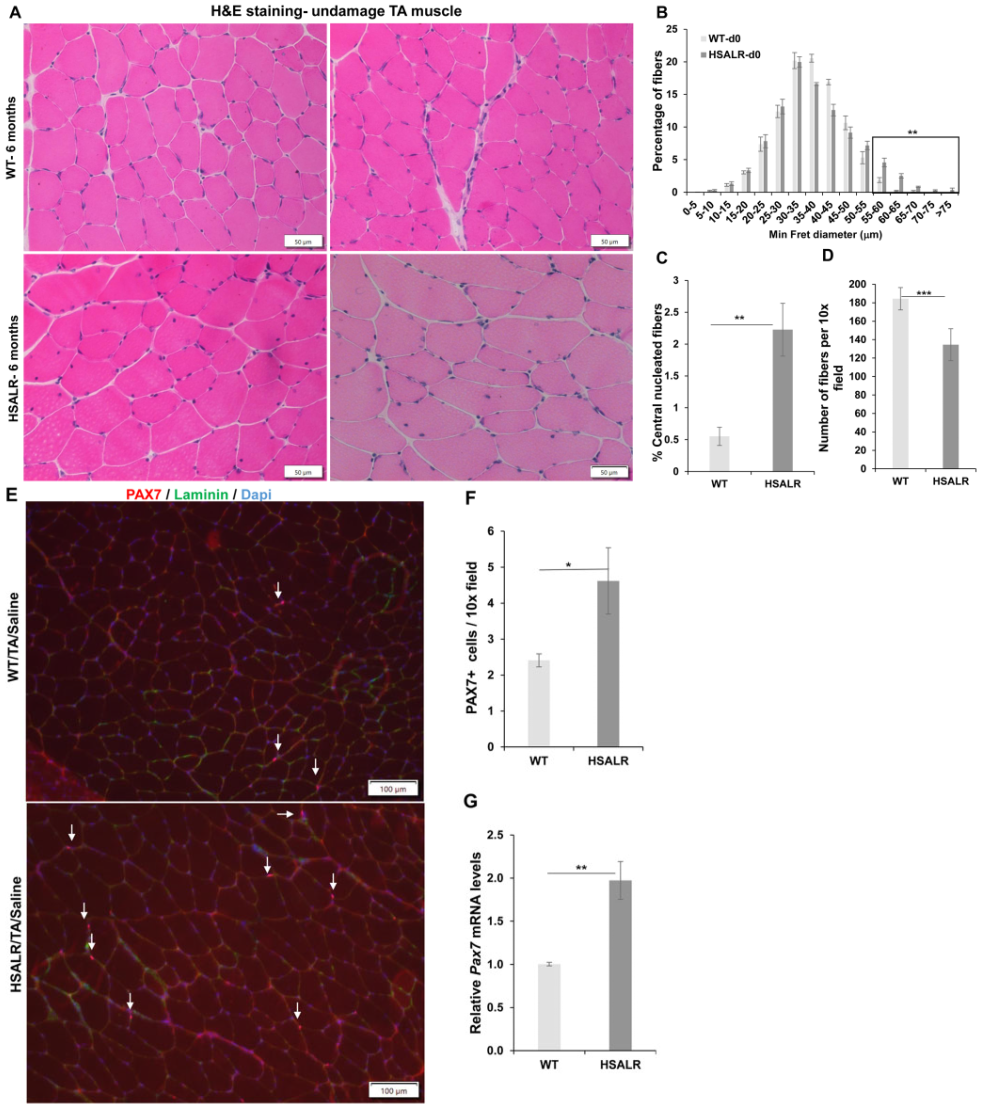 Ijms 26 10985 g001 Ijms 26 10985 g001